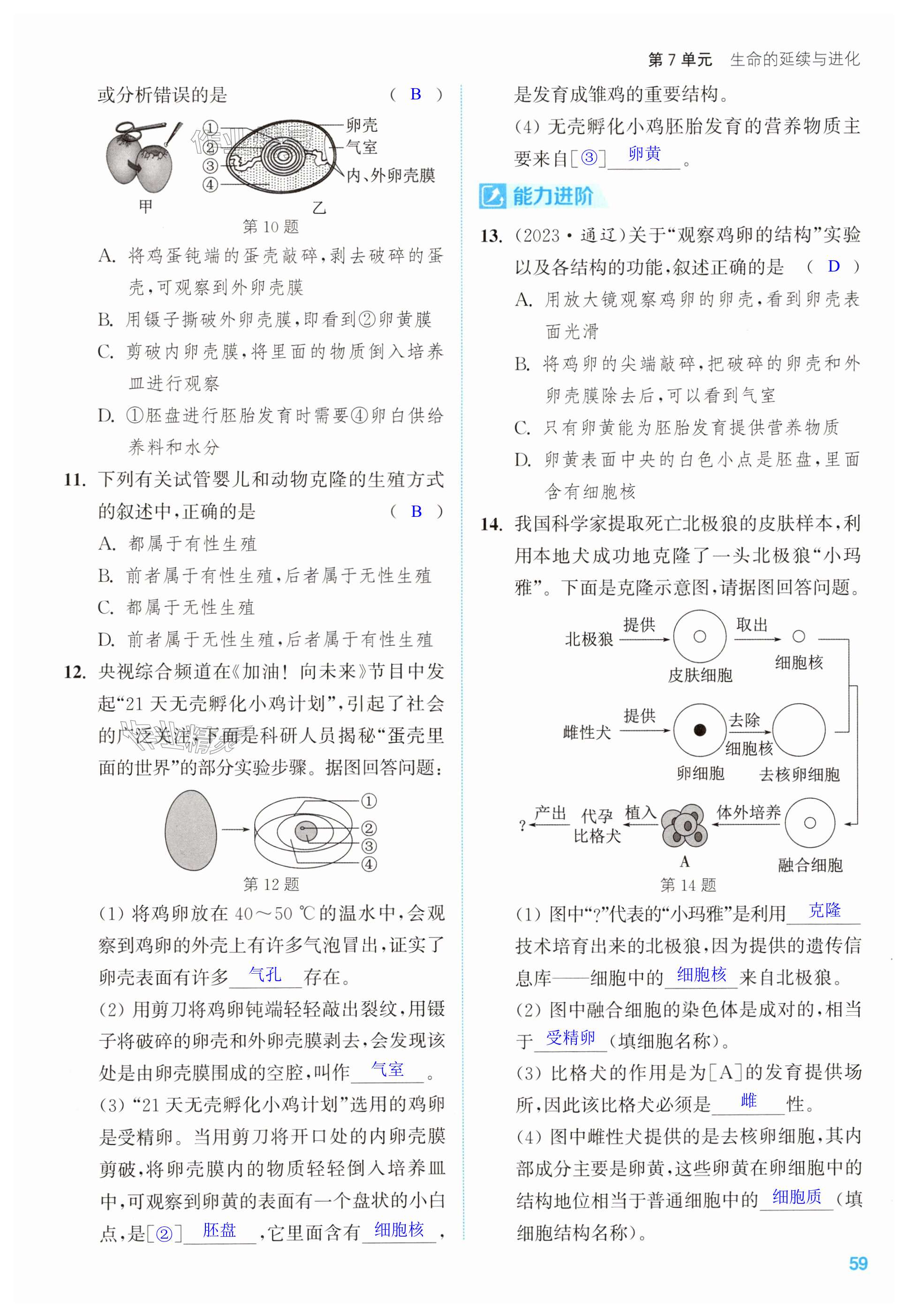 第59页