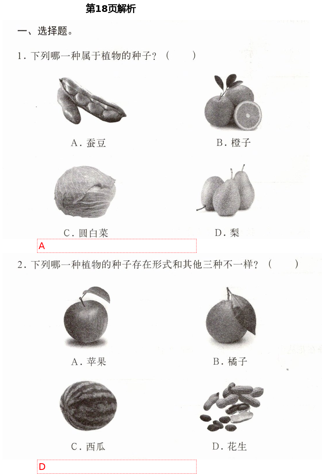 2021年新思維伴你學(xué)四年級科學(xué)下冊教科版 第18頁