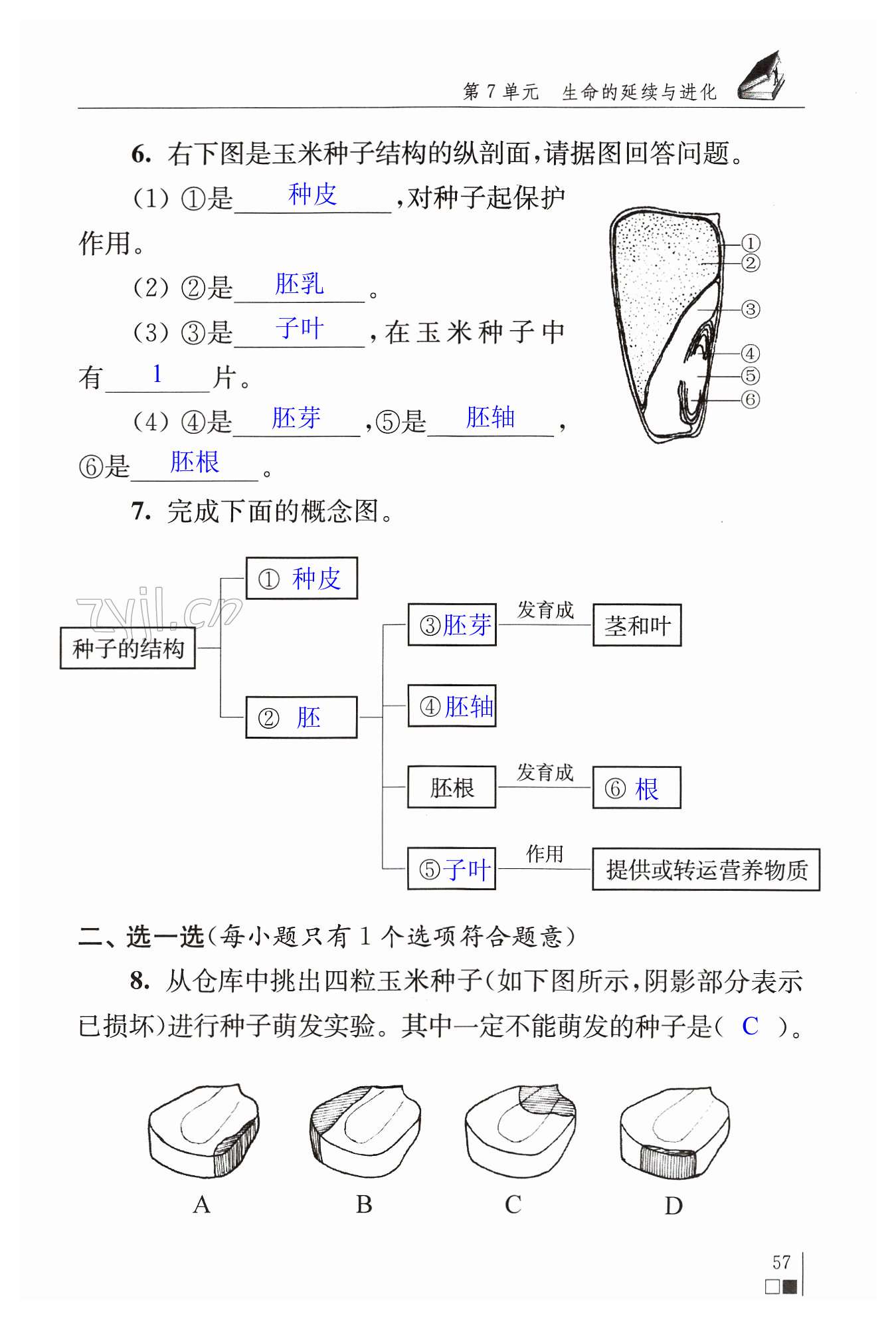 第57页