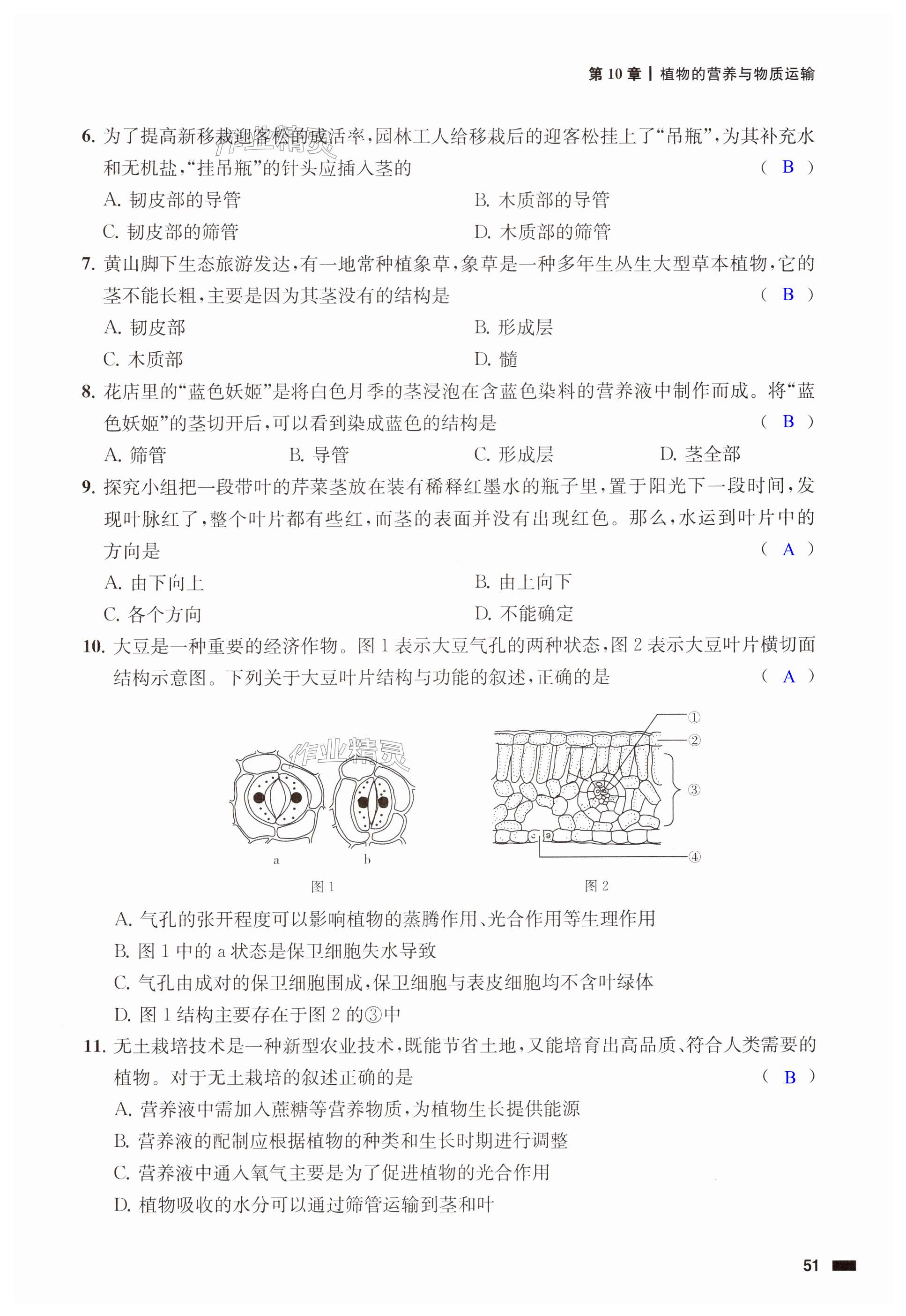 第51页