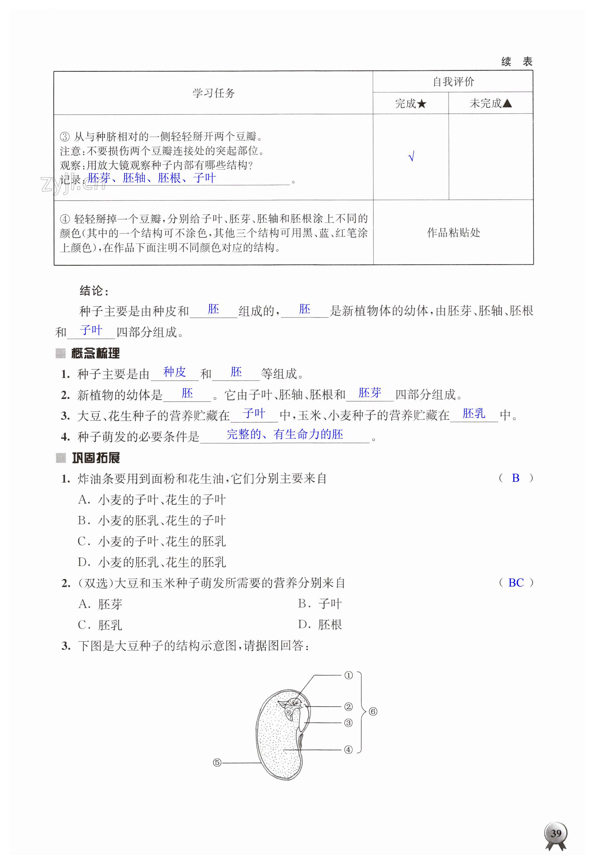 第39页