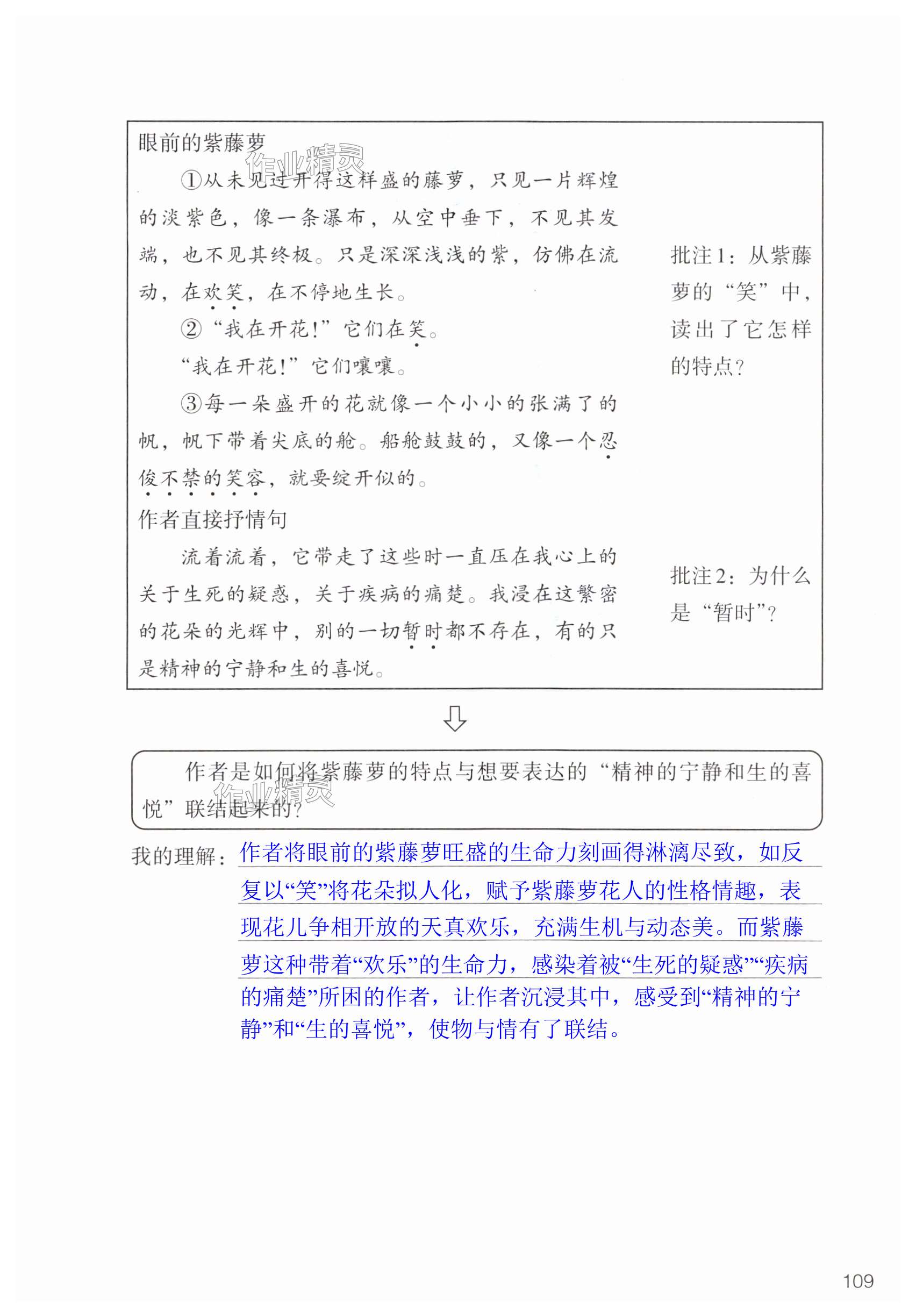 第109页