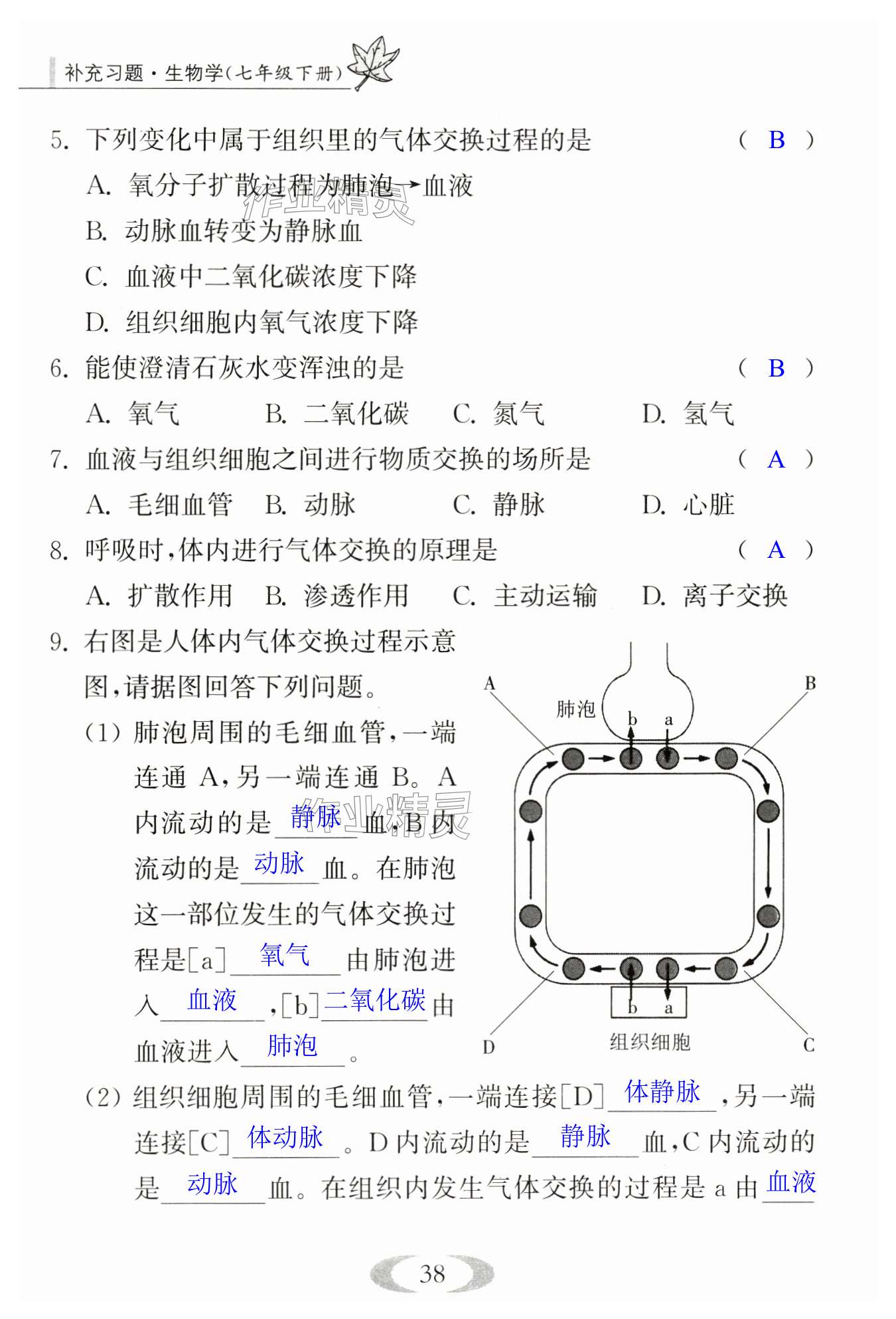 第38页