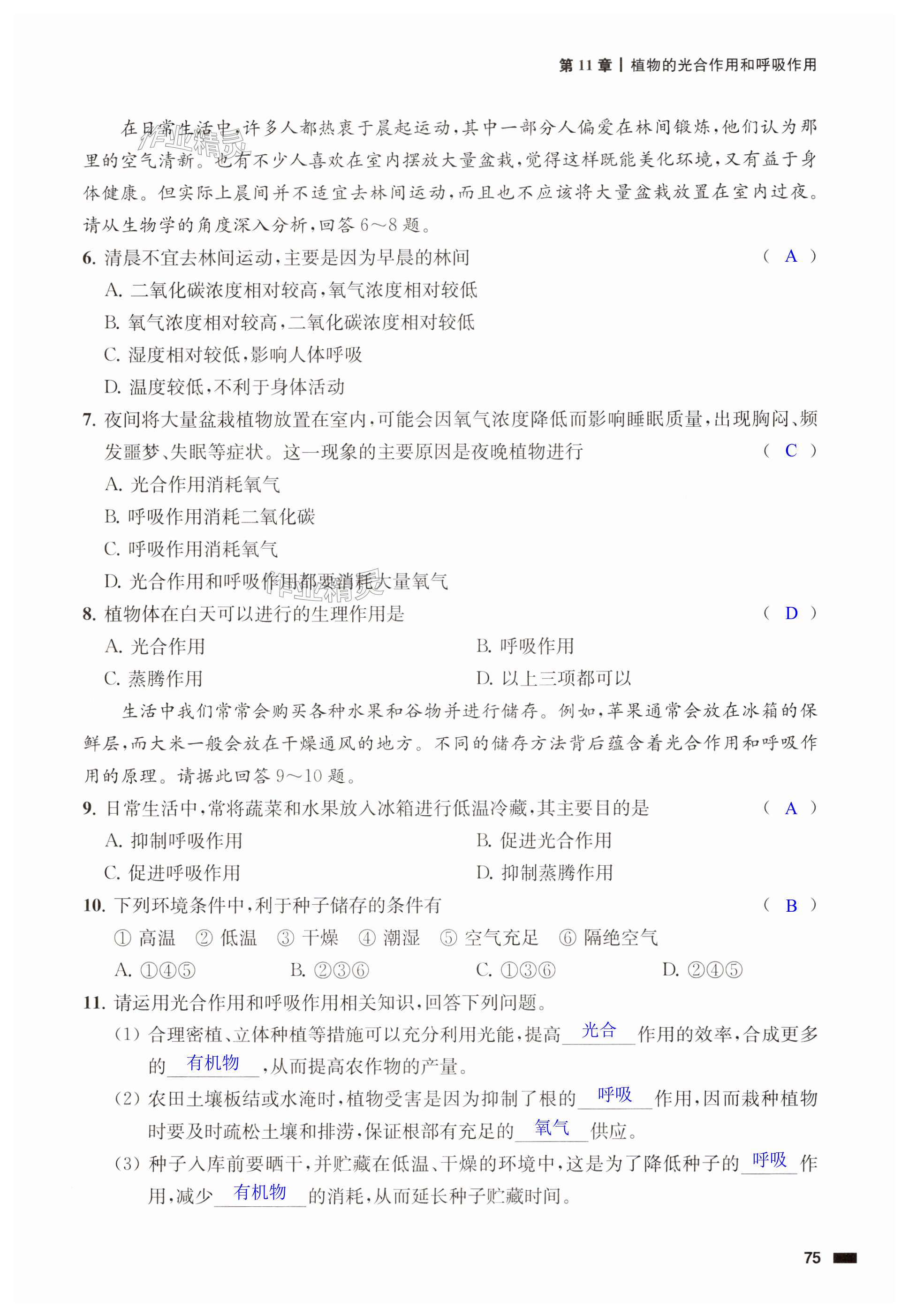 第75页