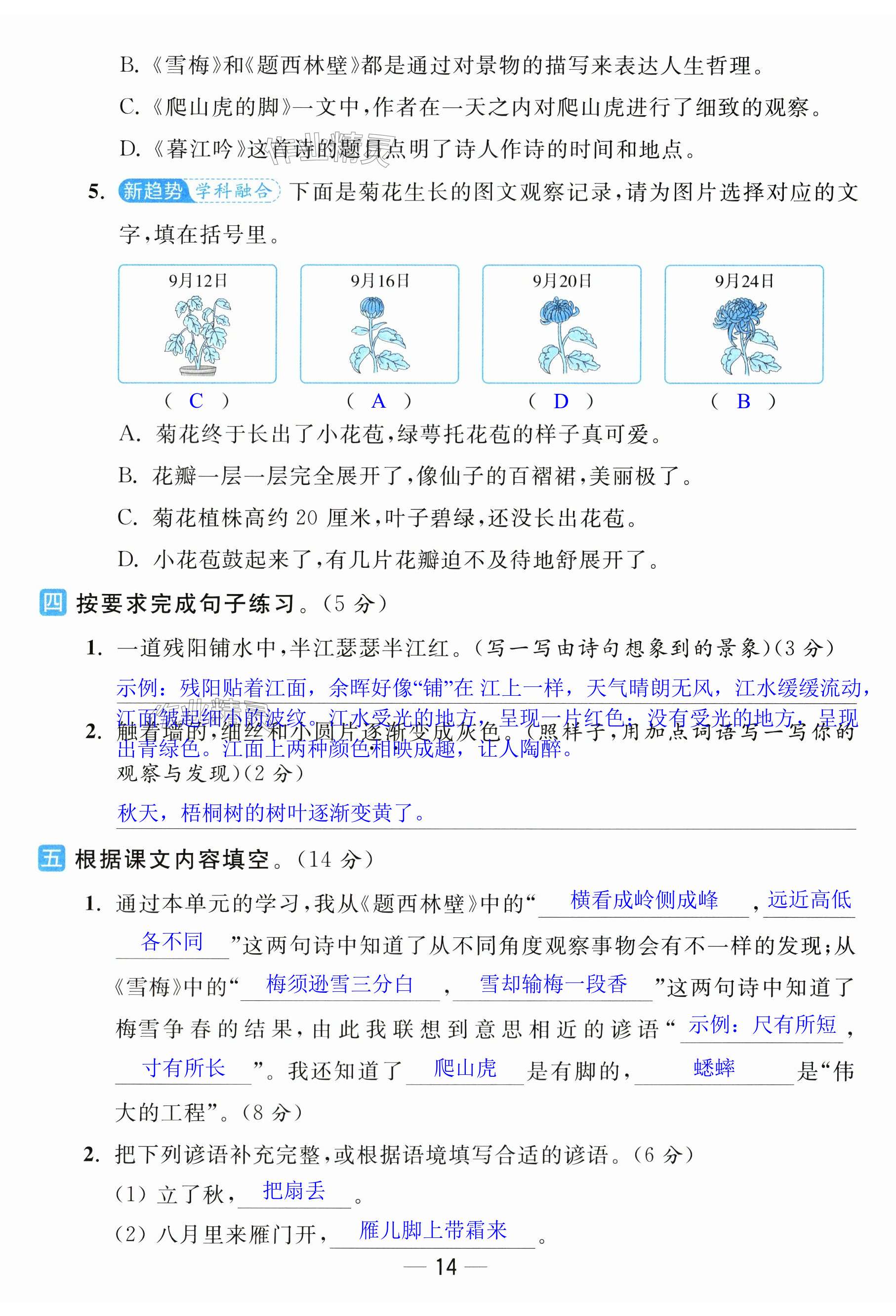 第14页