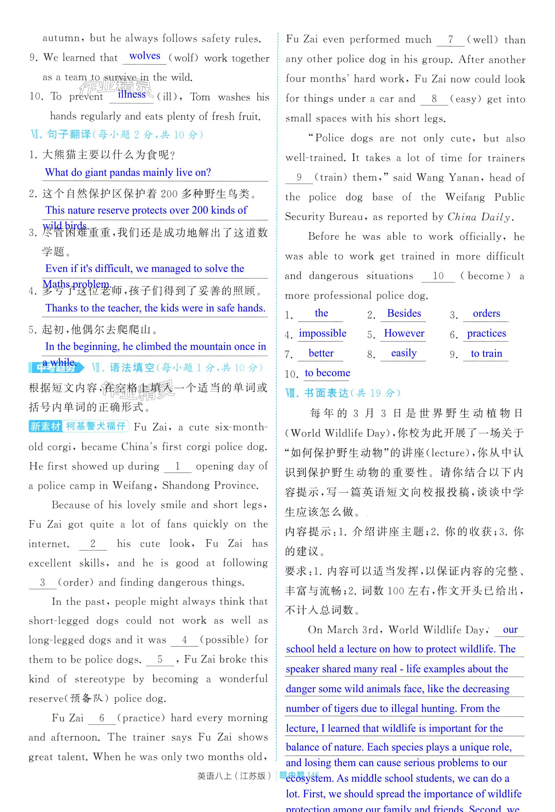 第146页