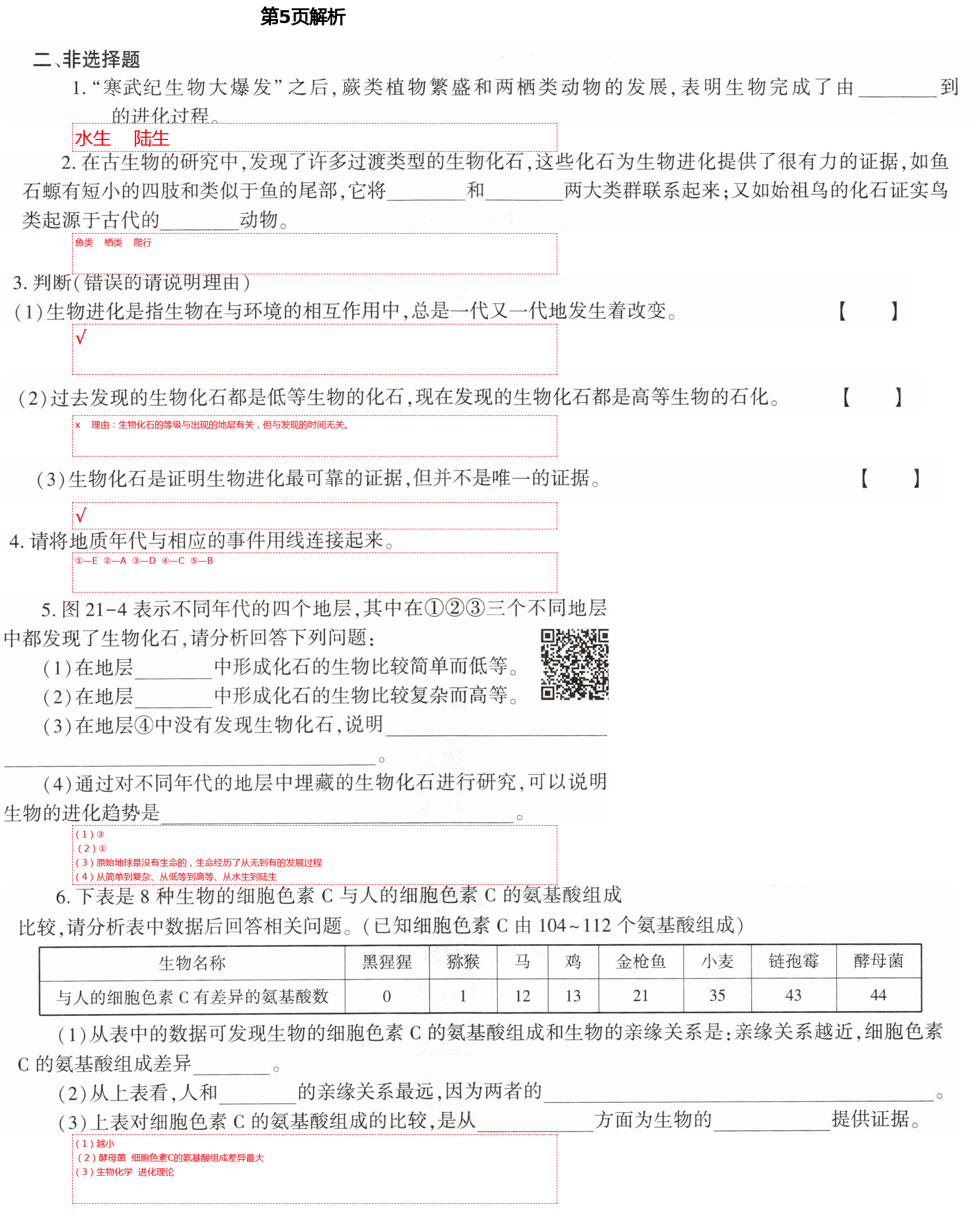 2021年基礎(chǔ)訓(xùn)練八年級(jí)生物下冊北師大版大象出版社 第5頁