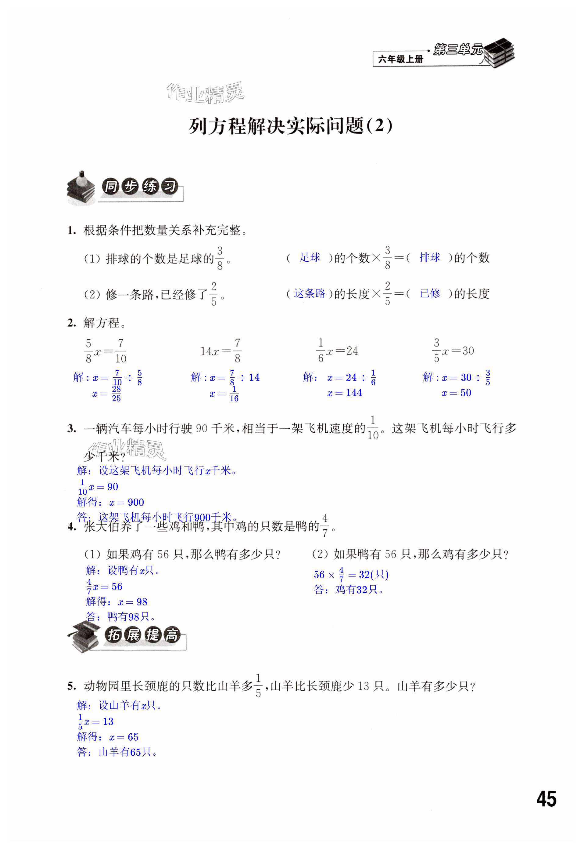 第45页