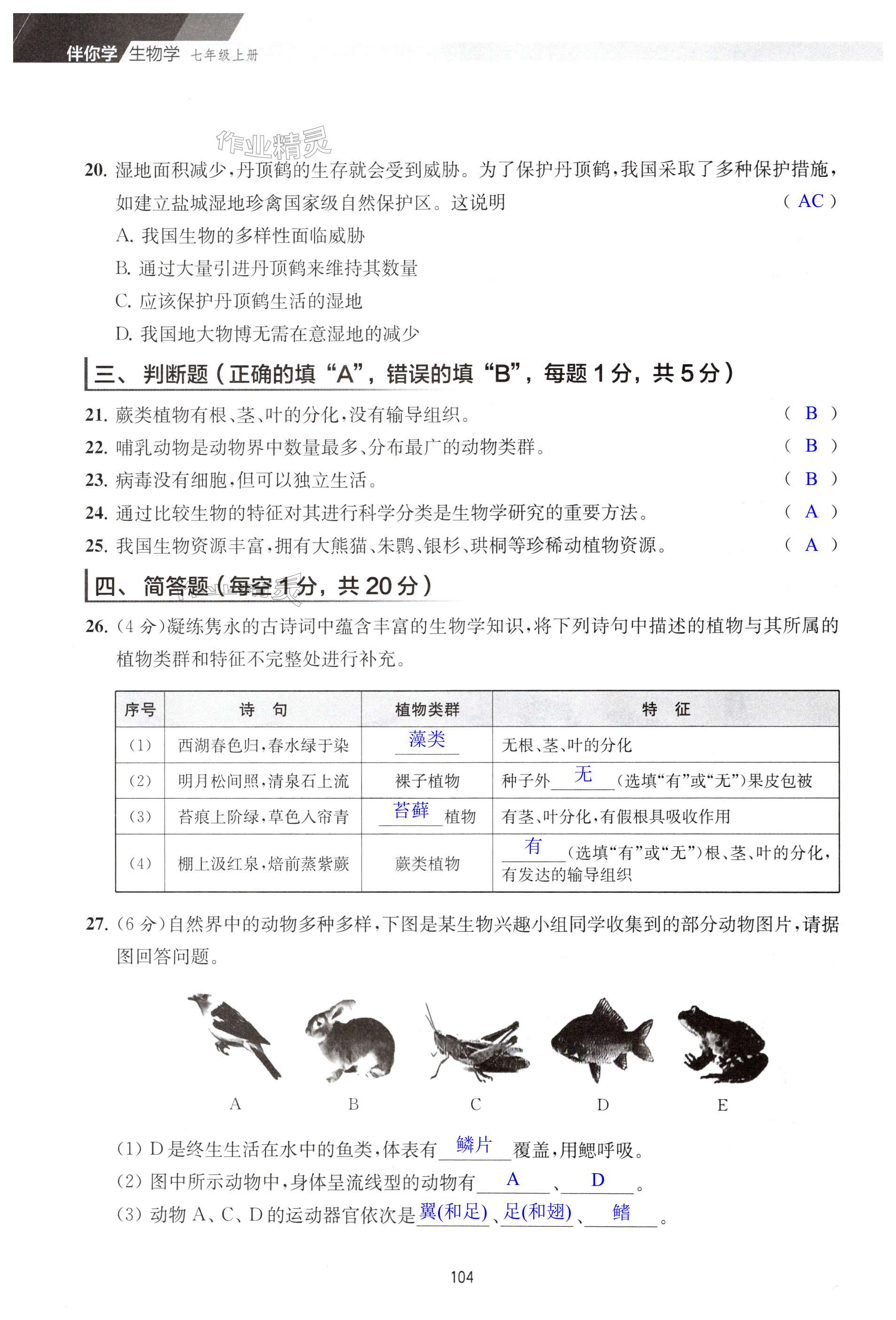 第104页