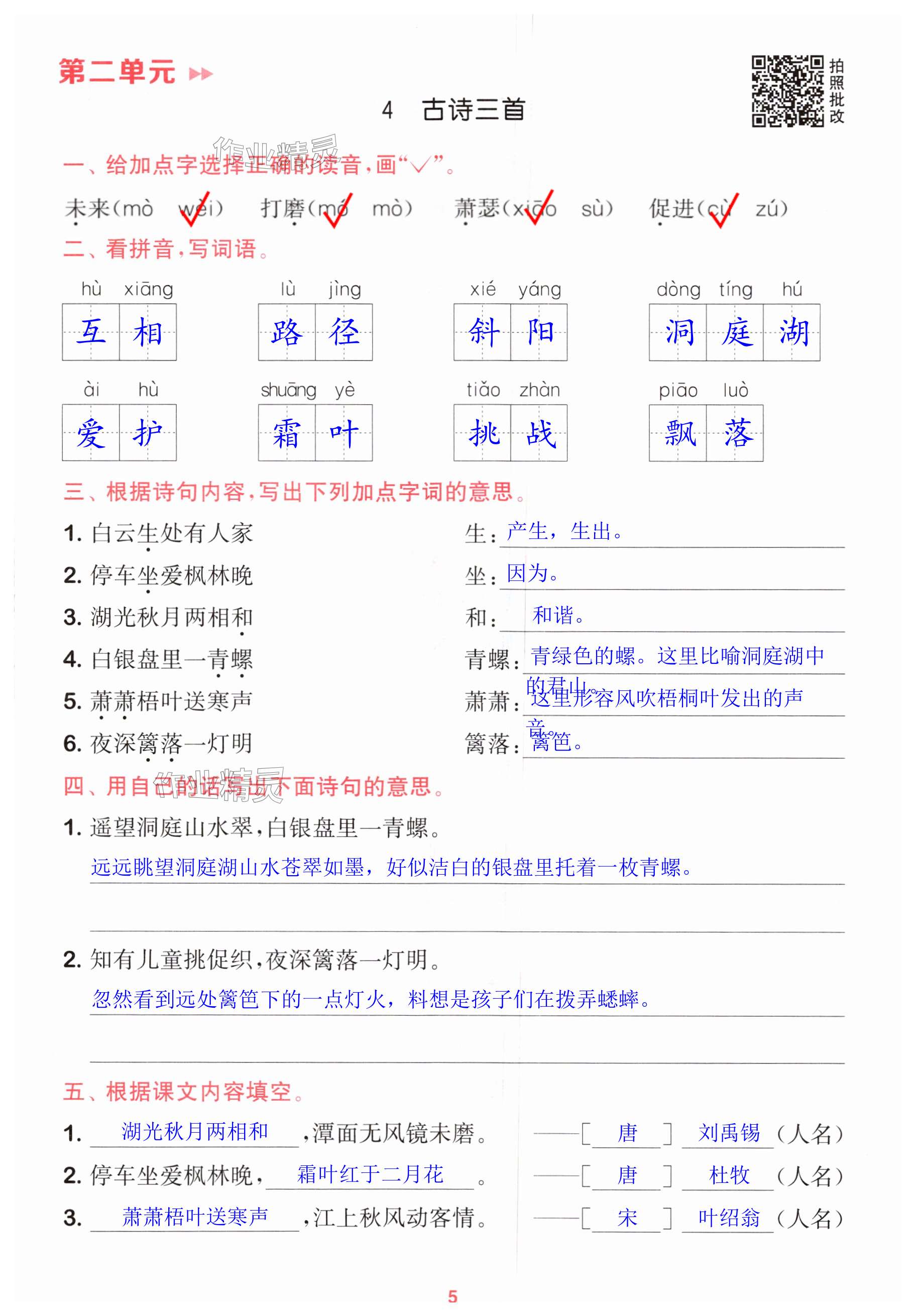 第5页