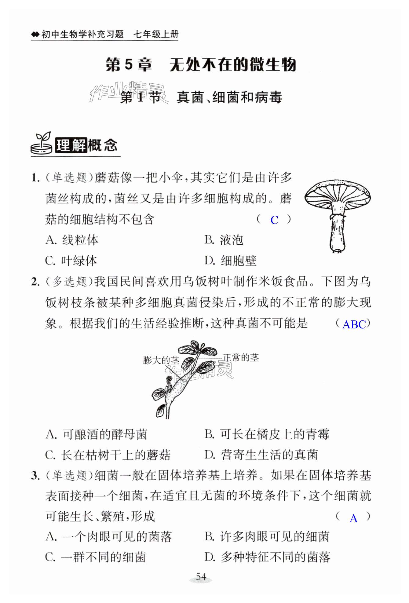 第54页