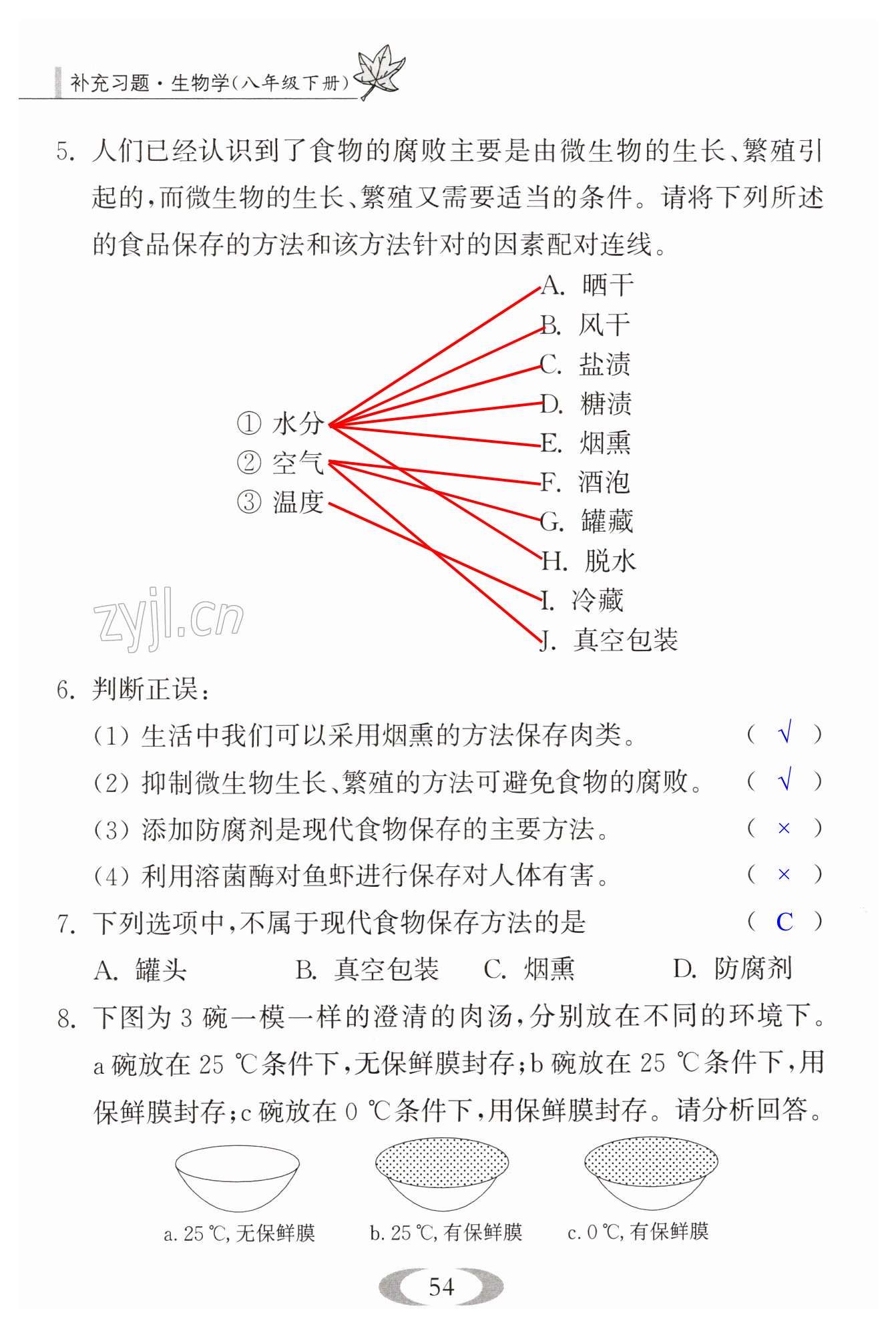 第54页