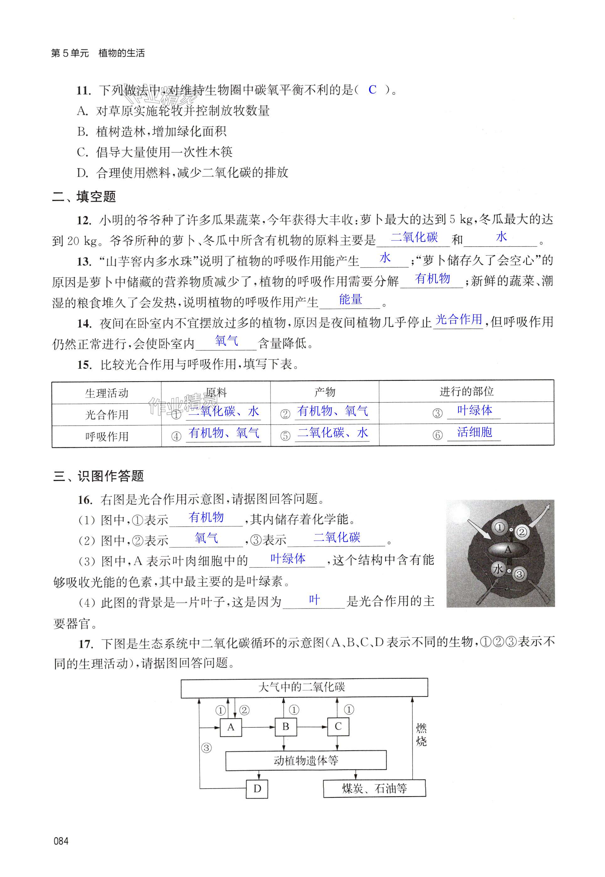 第84页