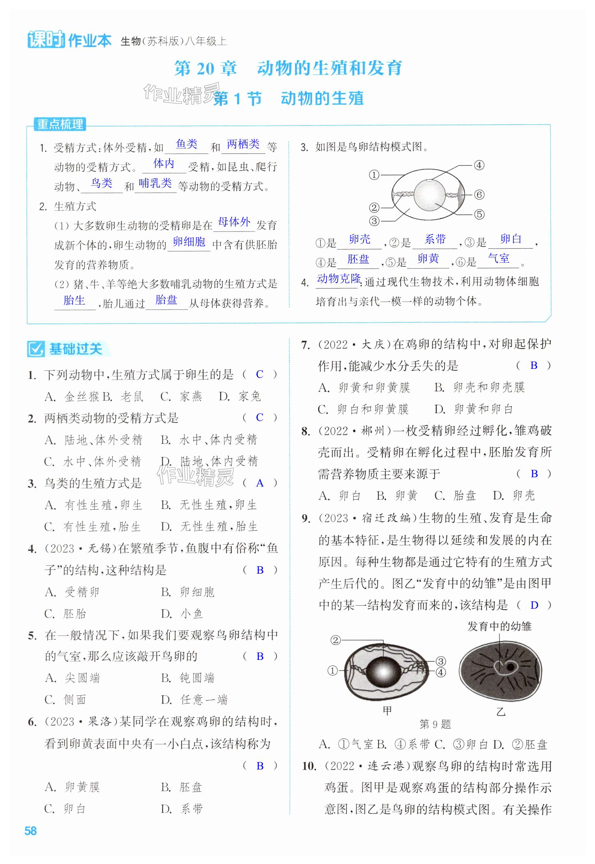 第58页