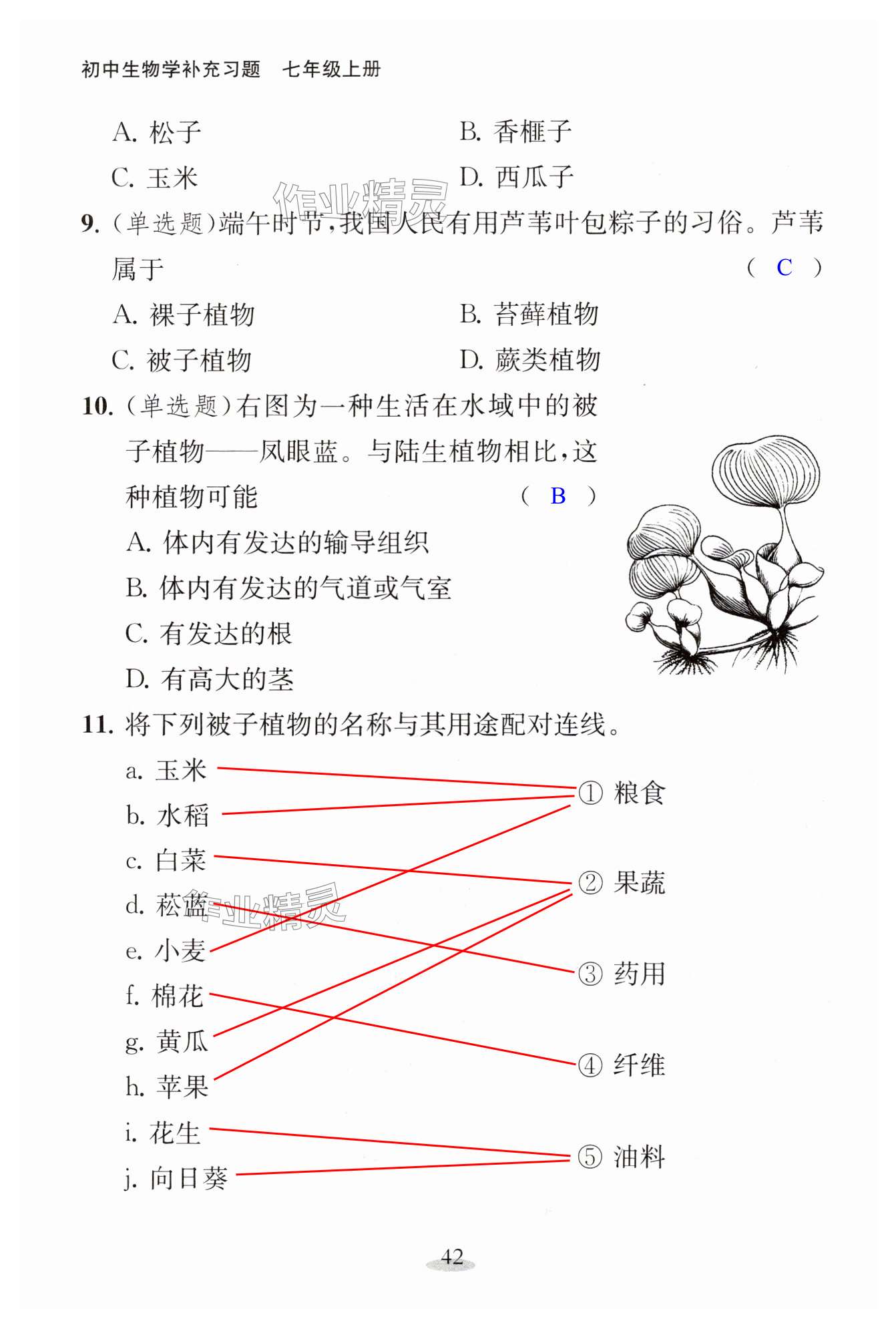 第42页