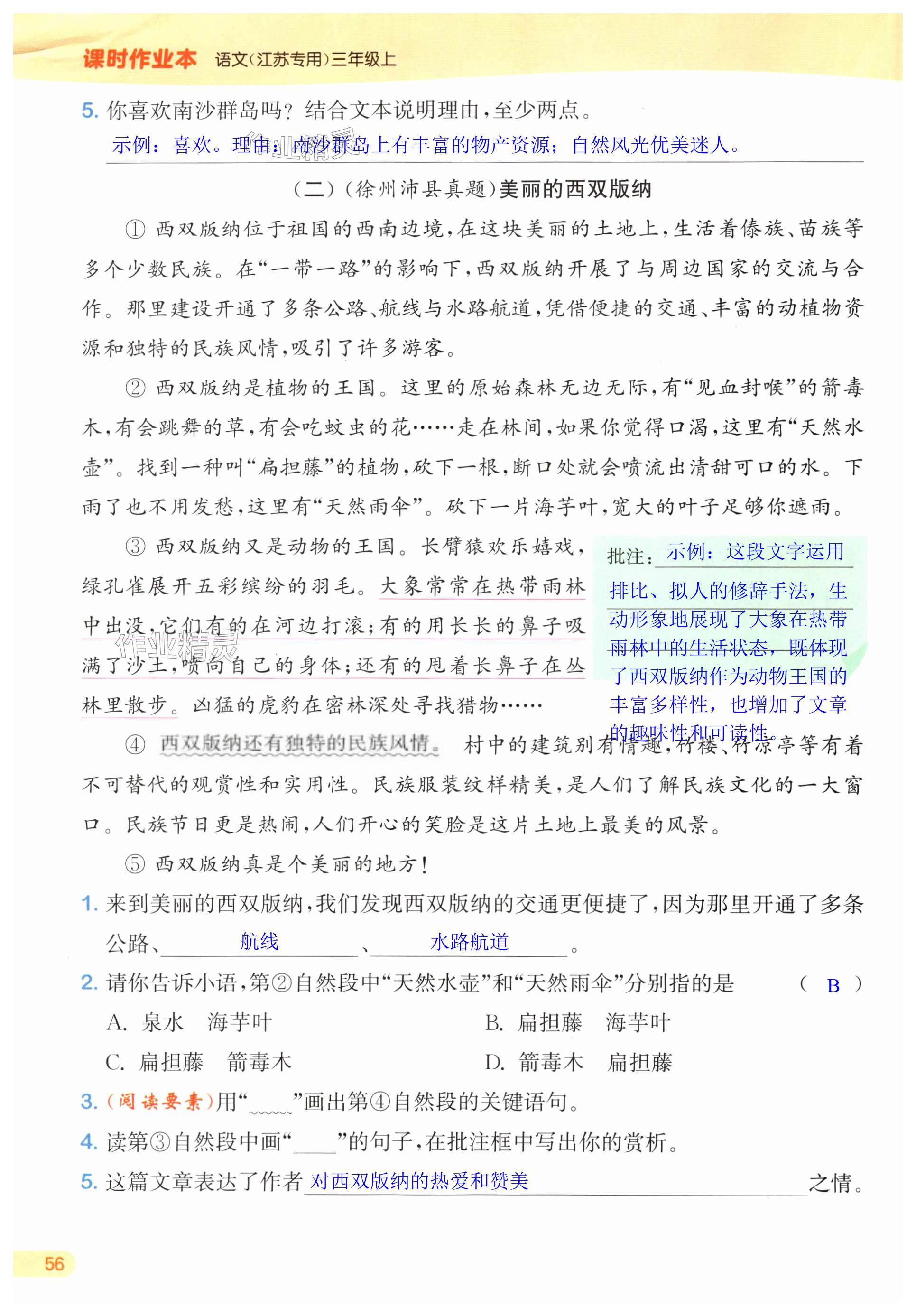 第56页