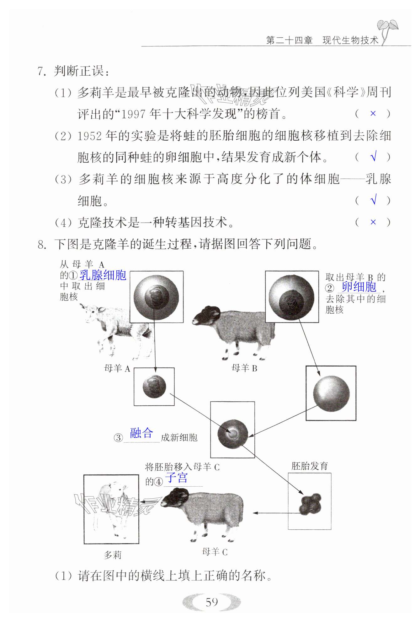 第59页