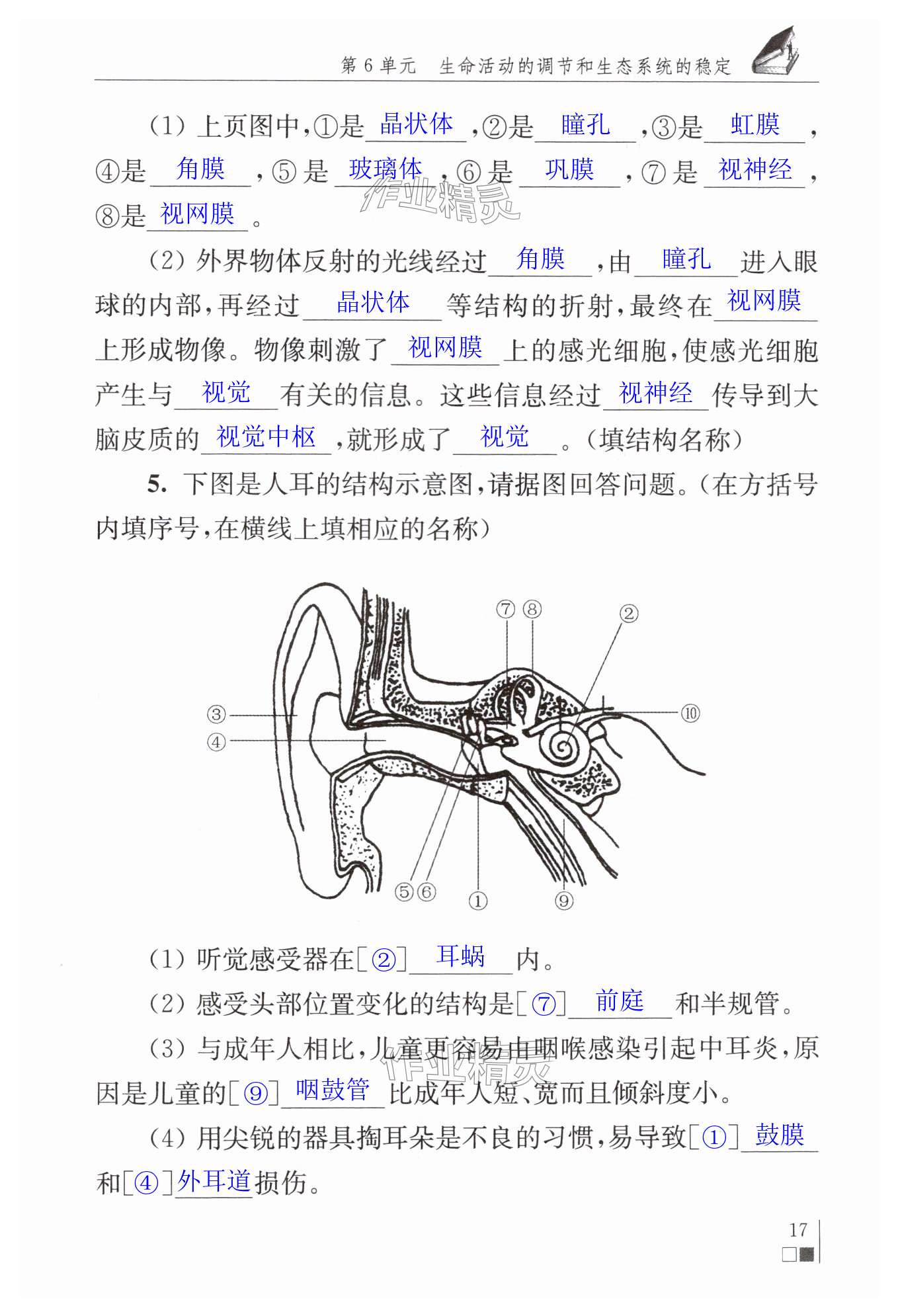 第17页