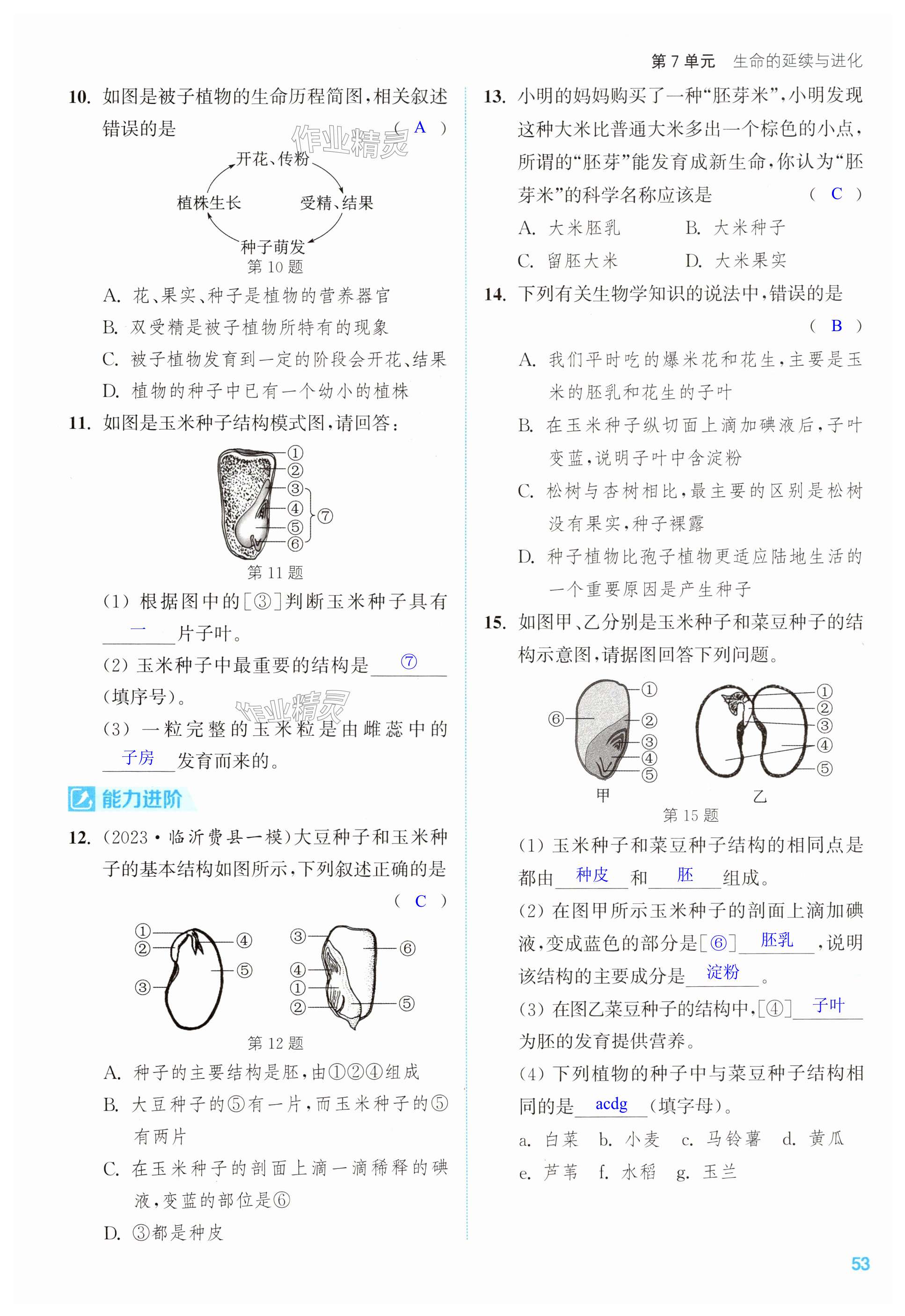 第53页