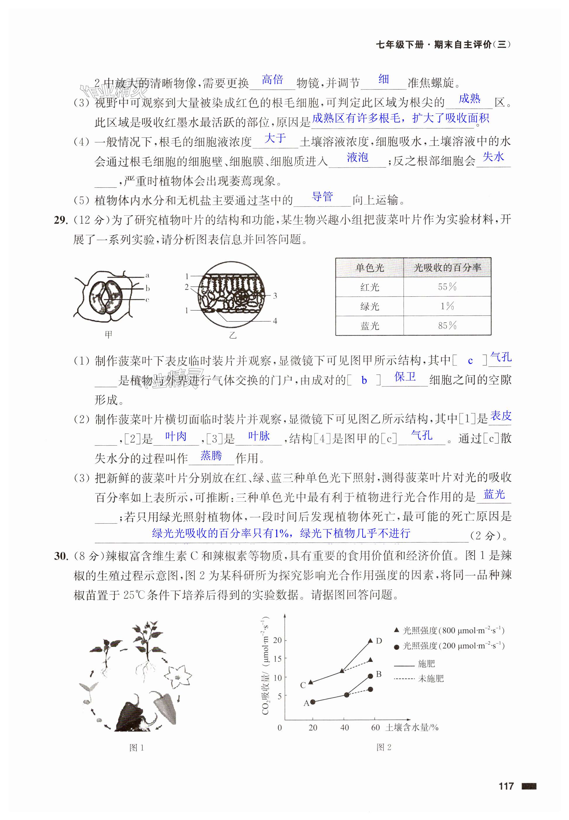 第117页