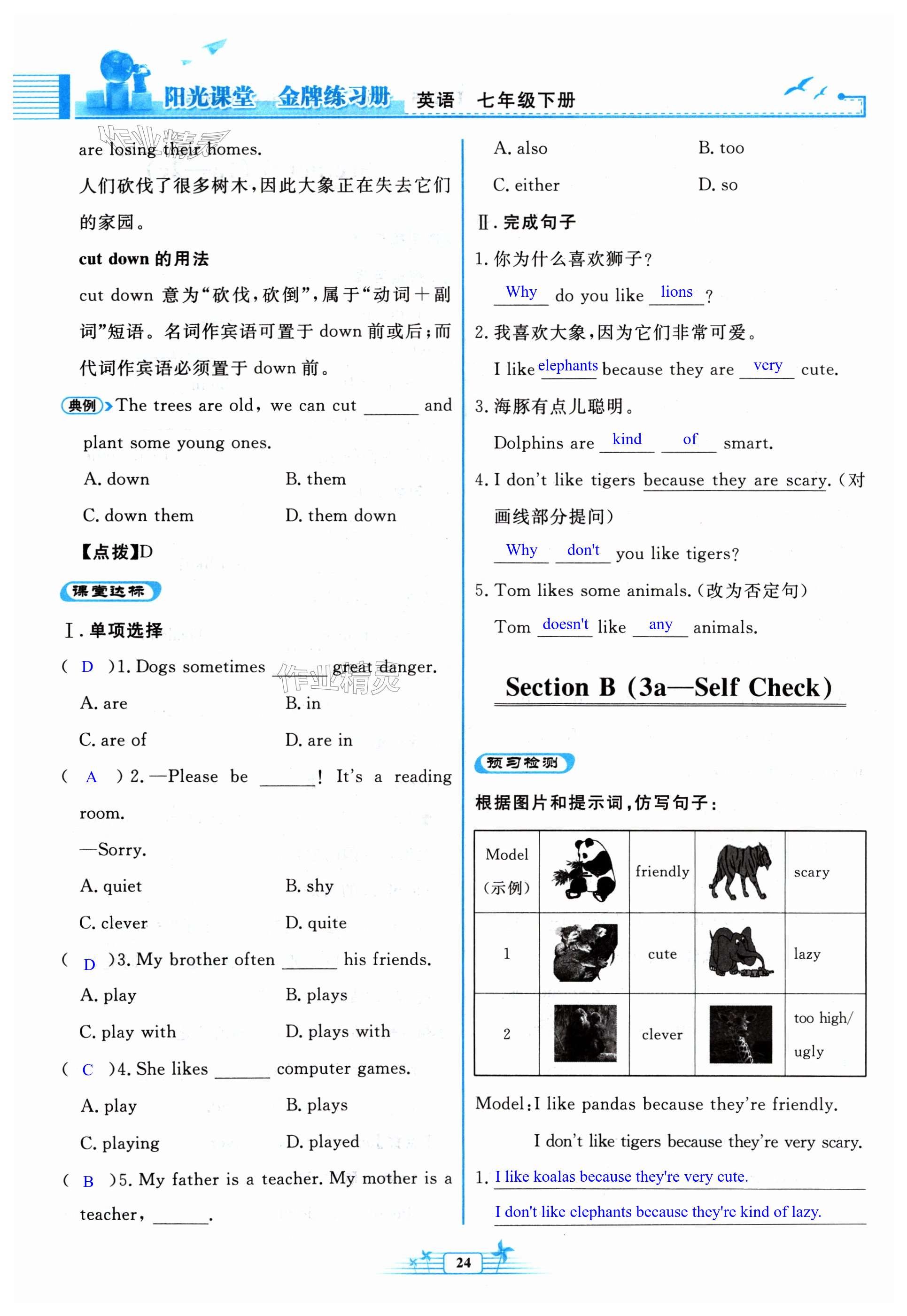 第24页