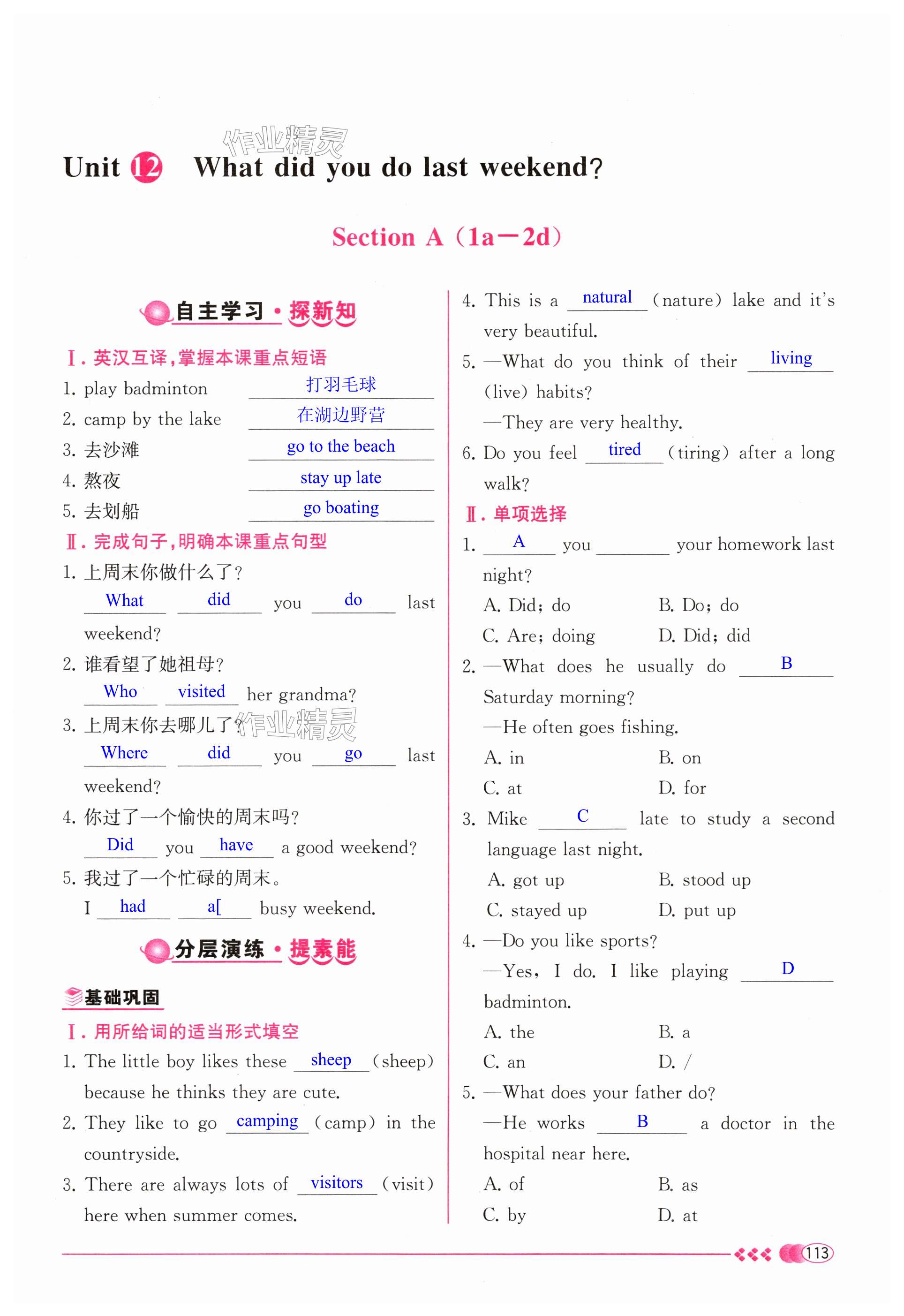 第113页