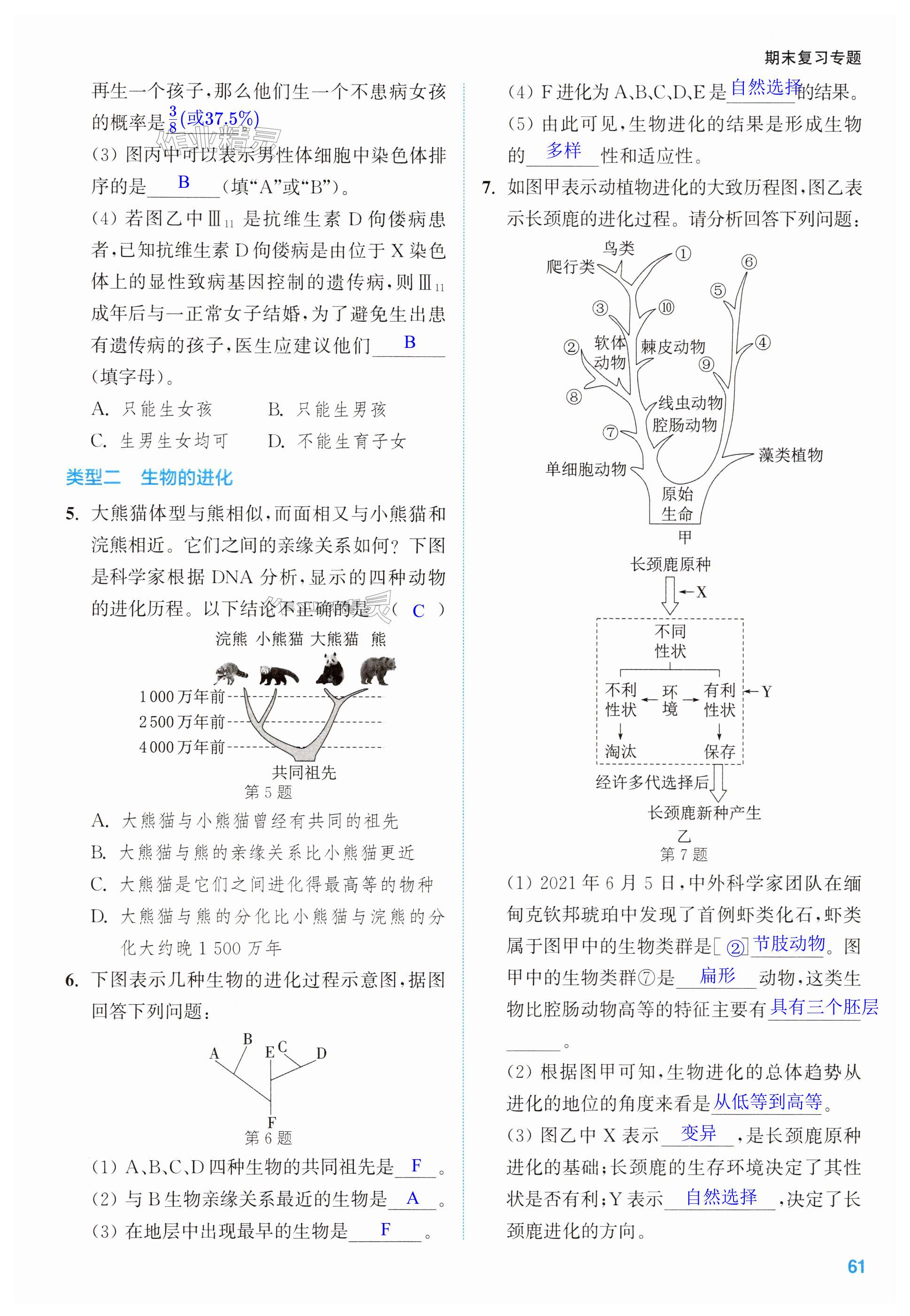 第61页