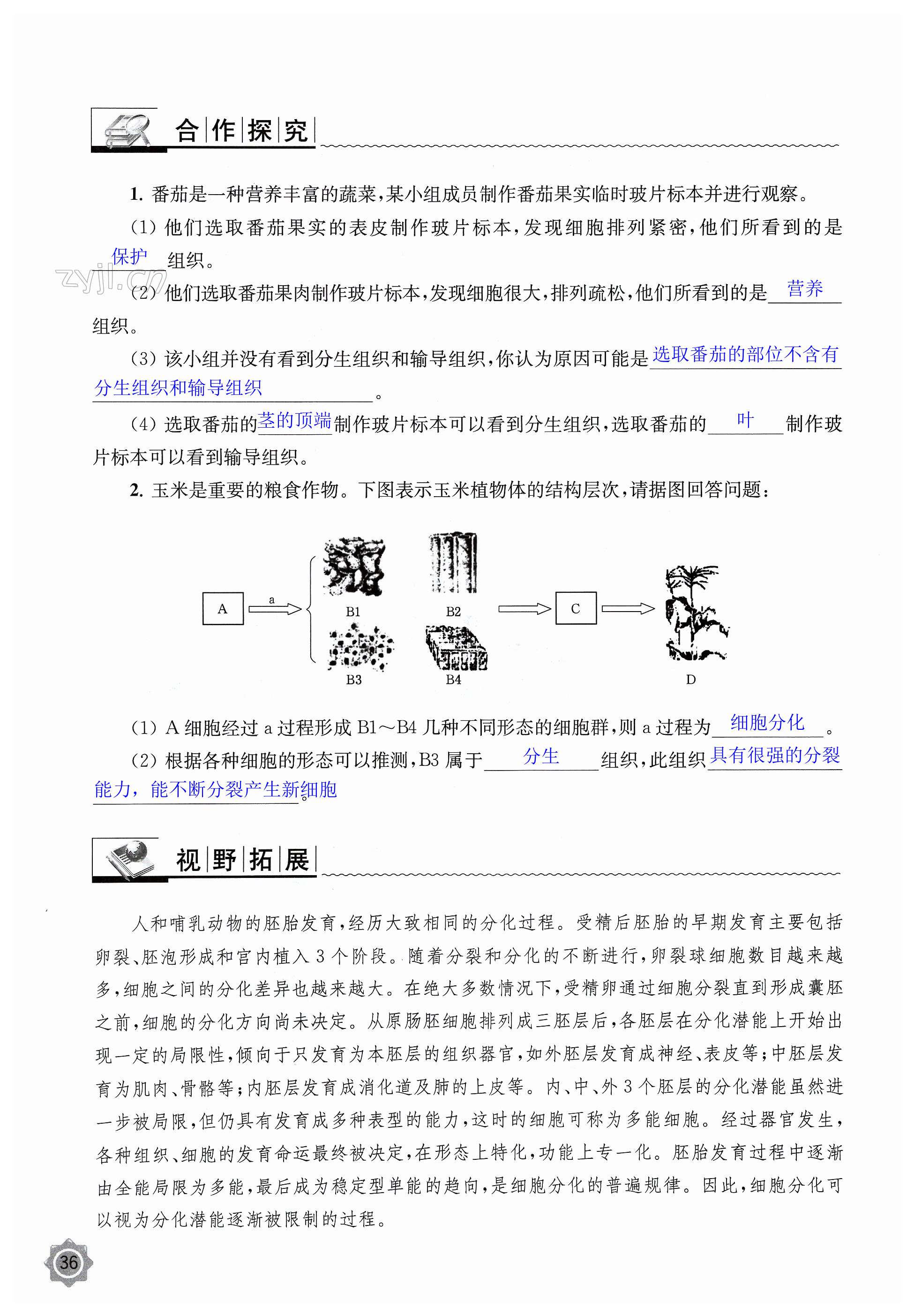 第36页