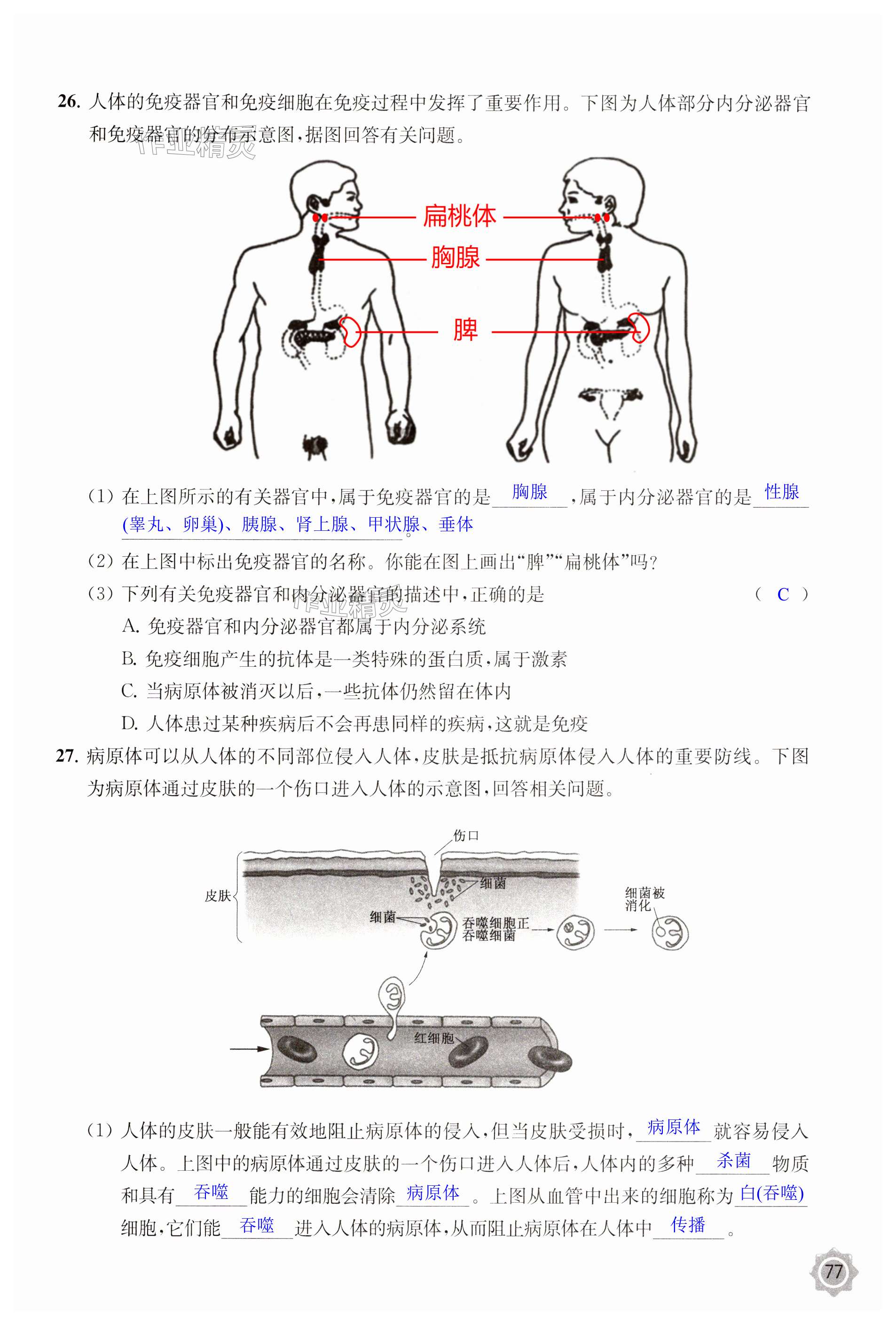 第77页