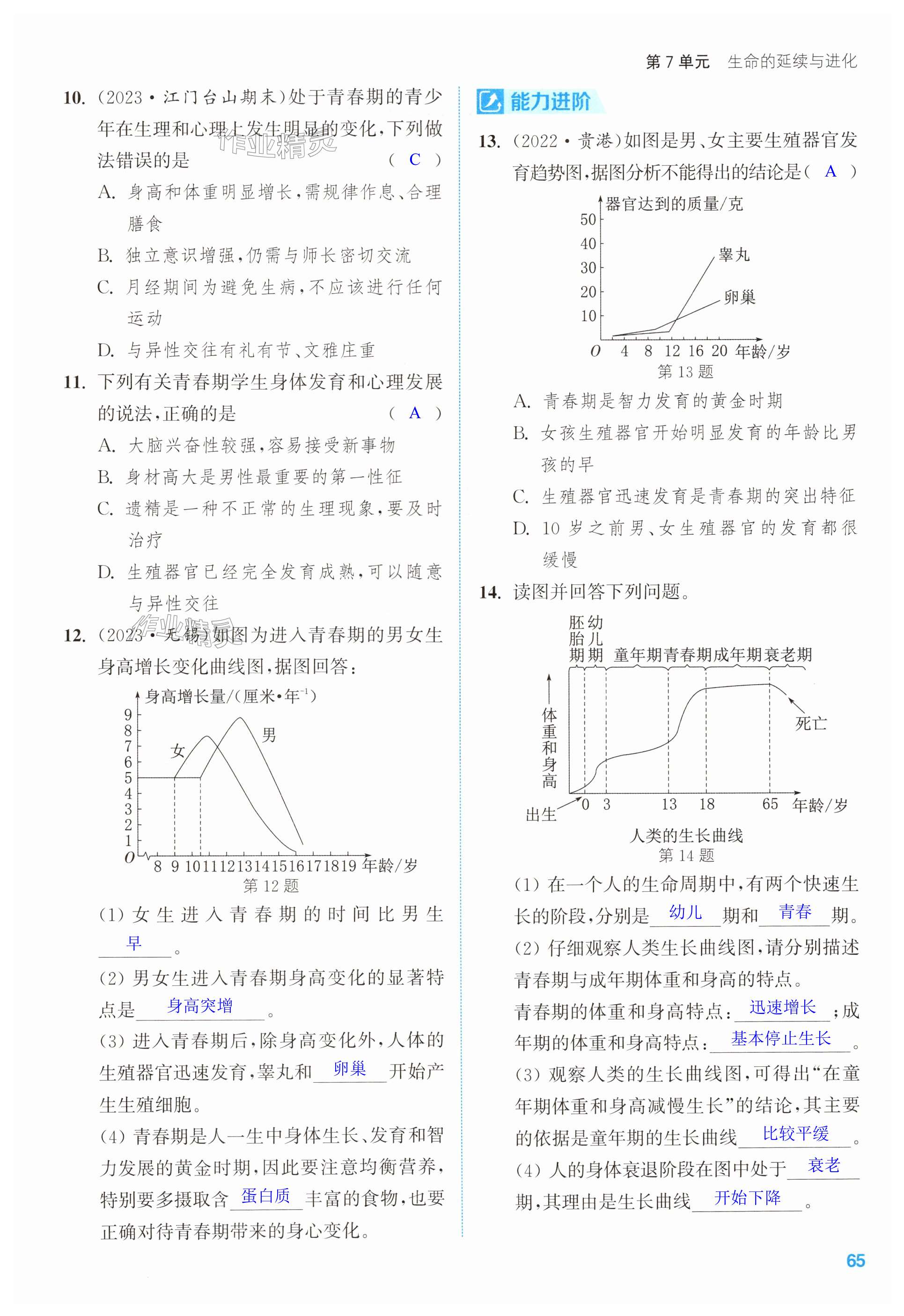 第65页