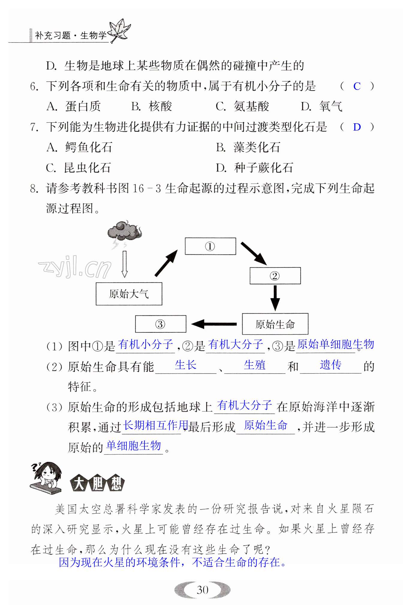 第30页