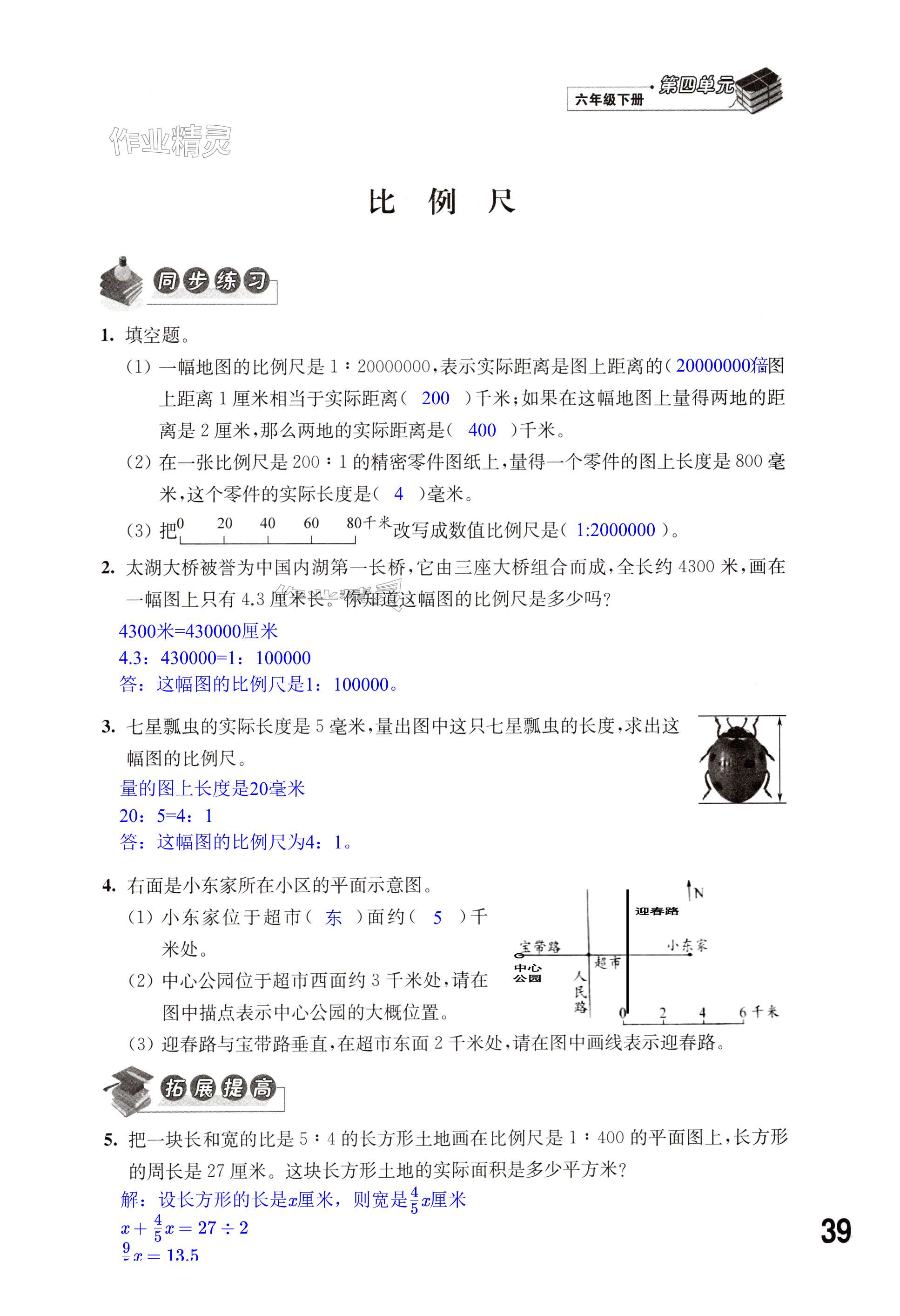 第39页