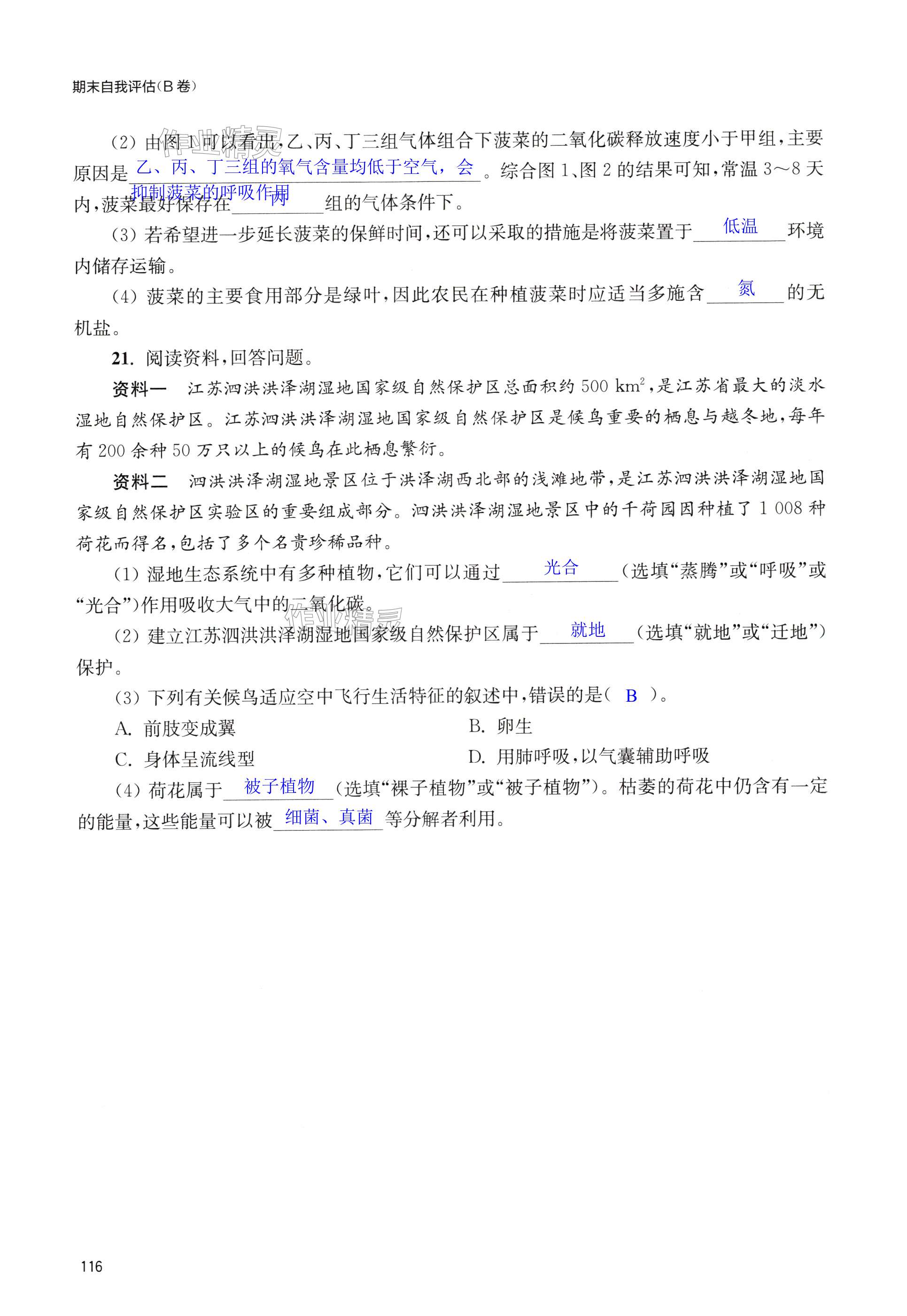 第116页