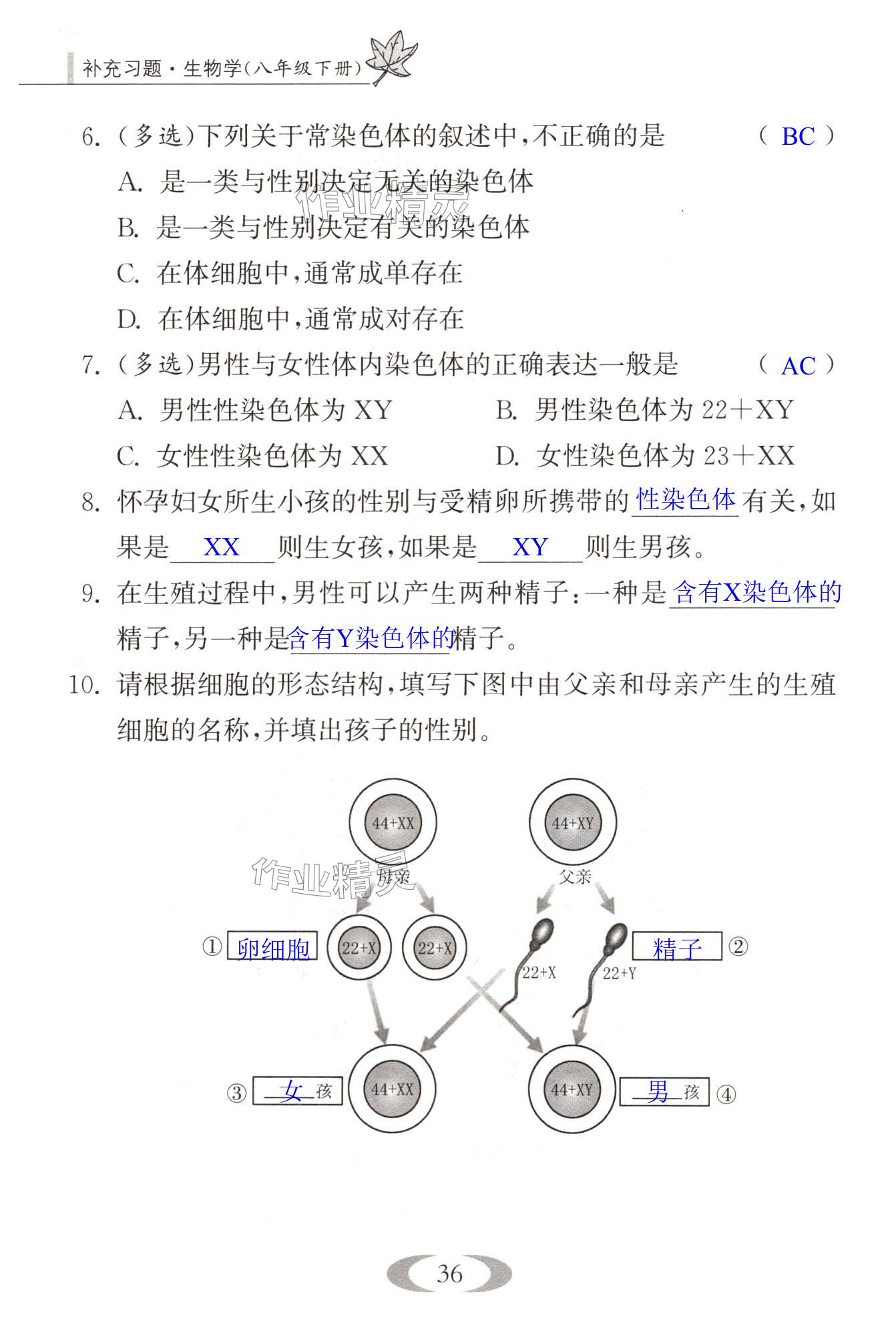 第36页