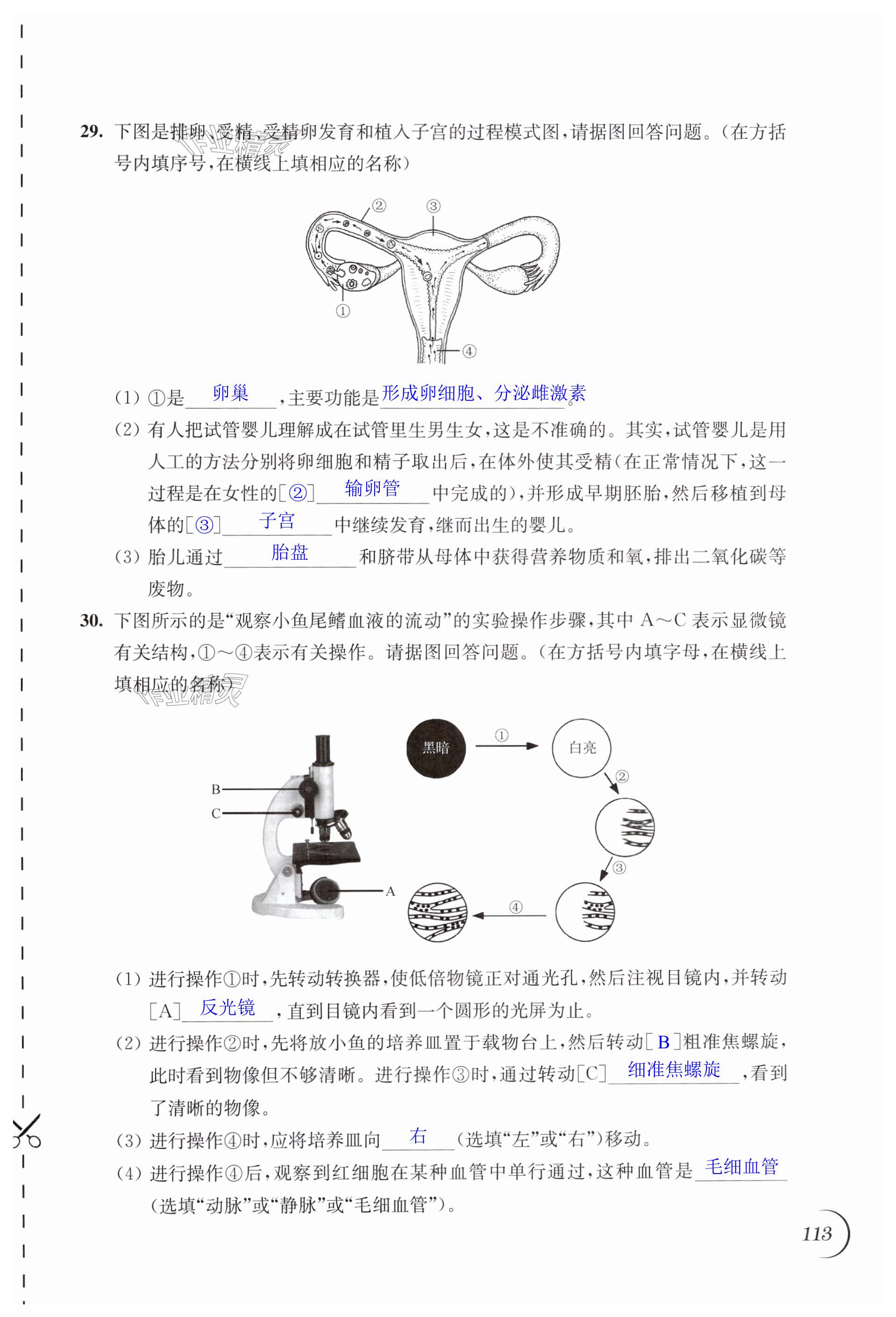 第113页