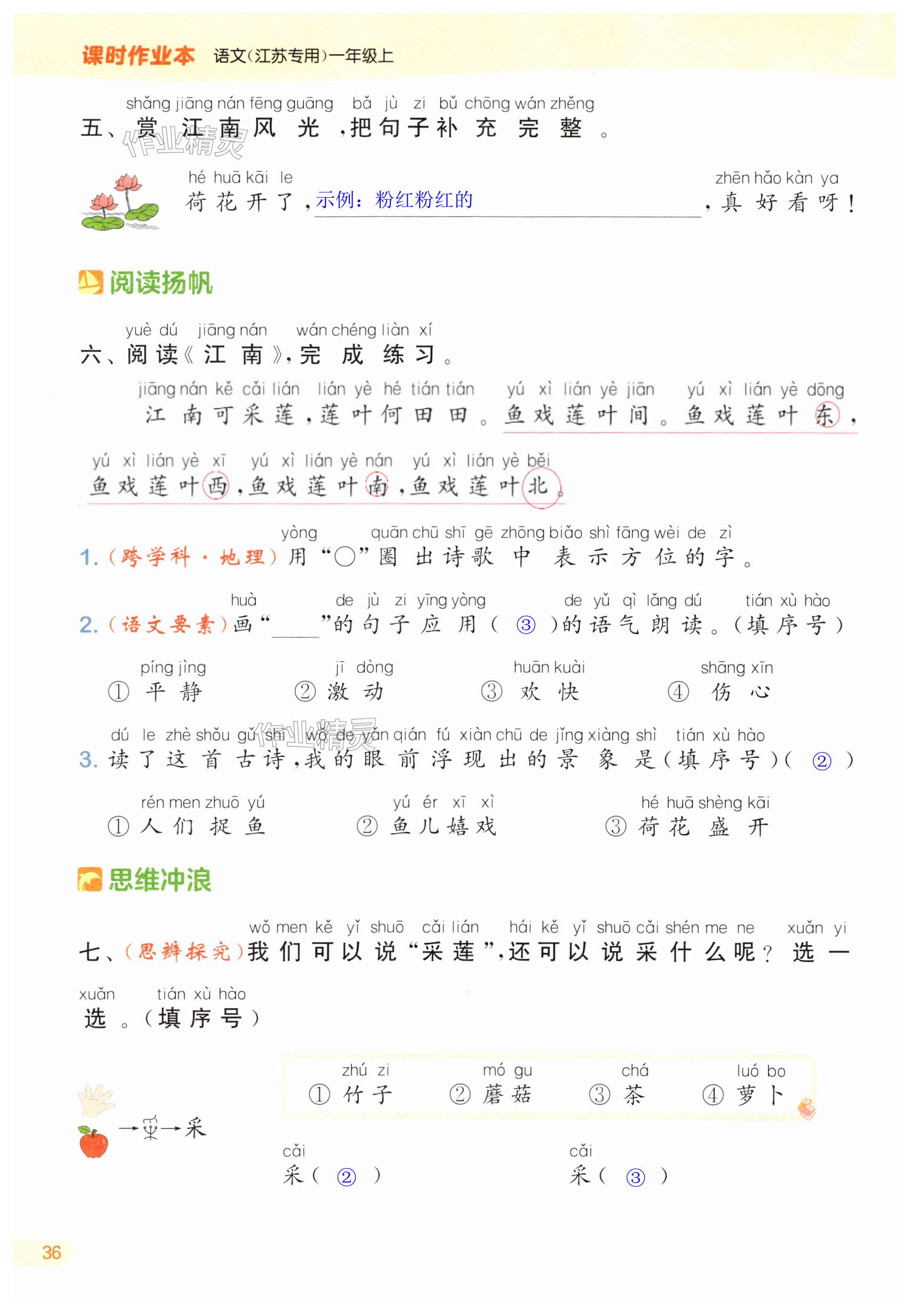 第36页