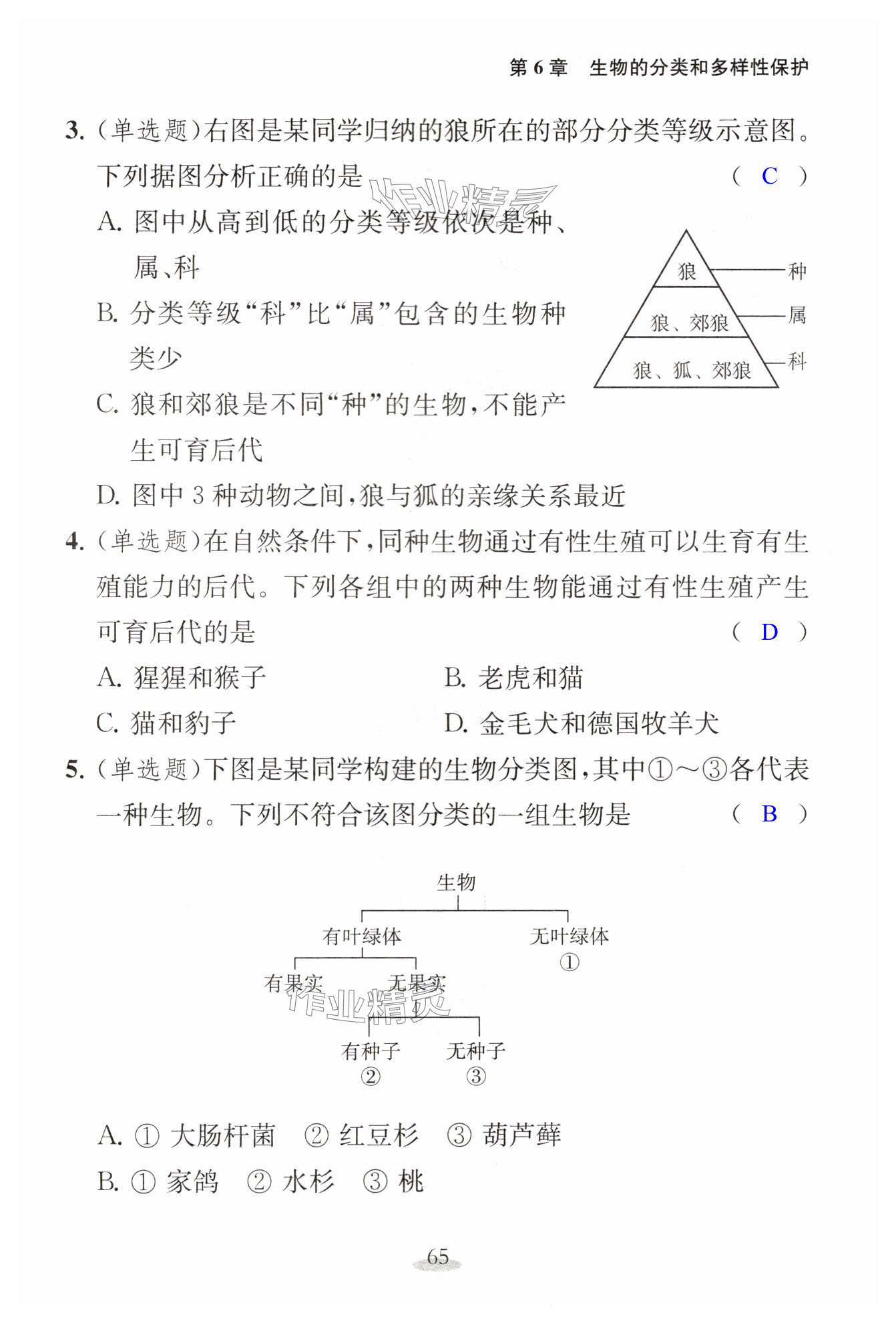 第65页