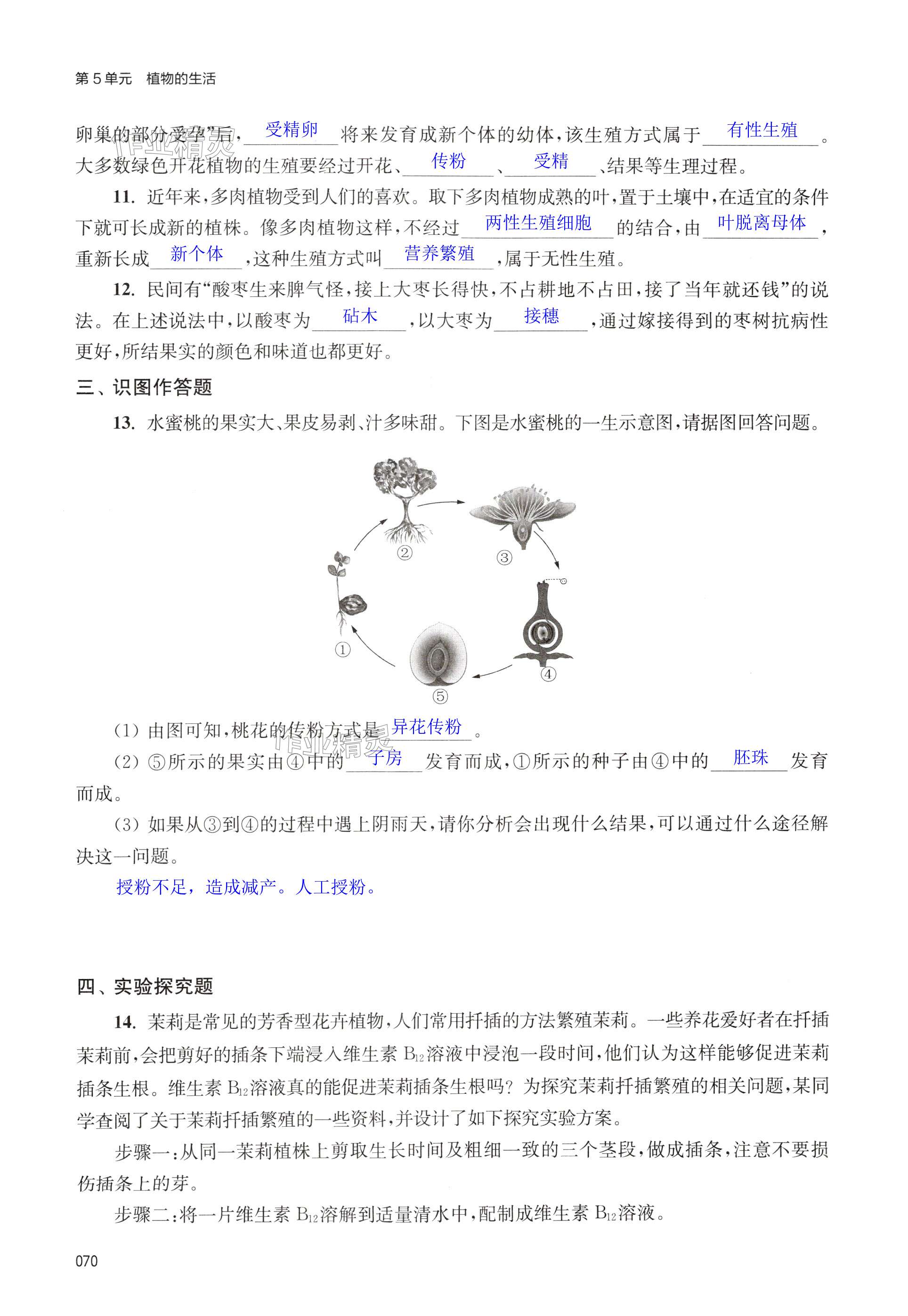 第70页