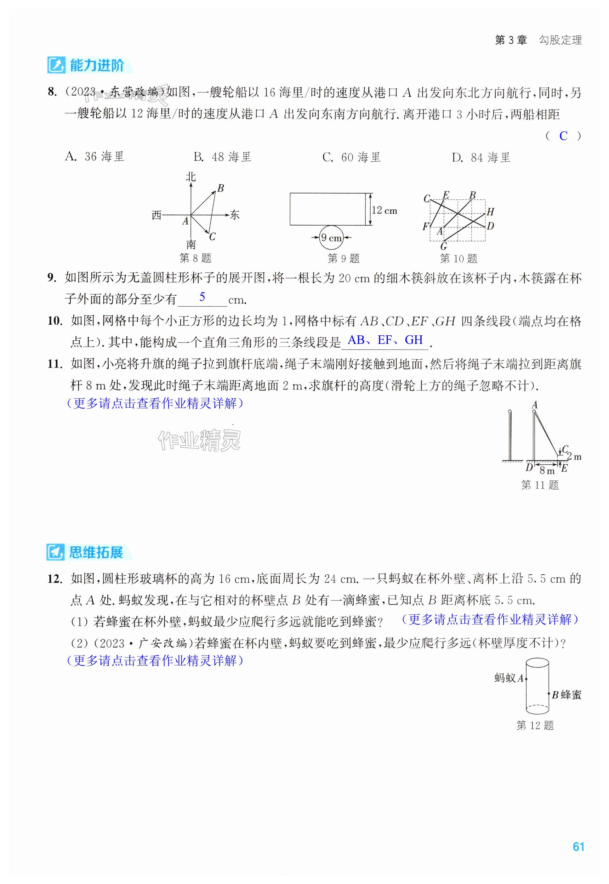 第61页