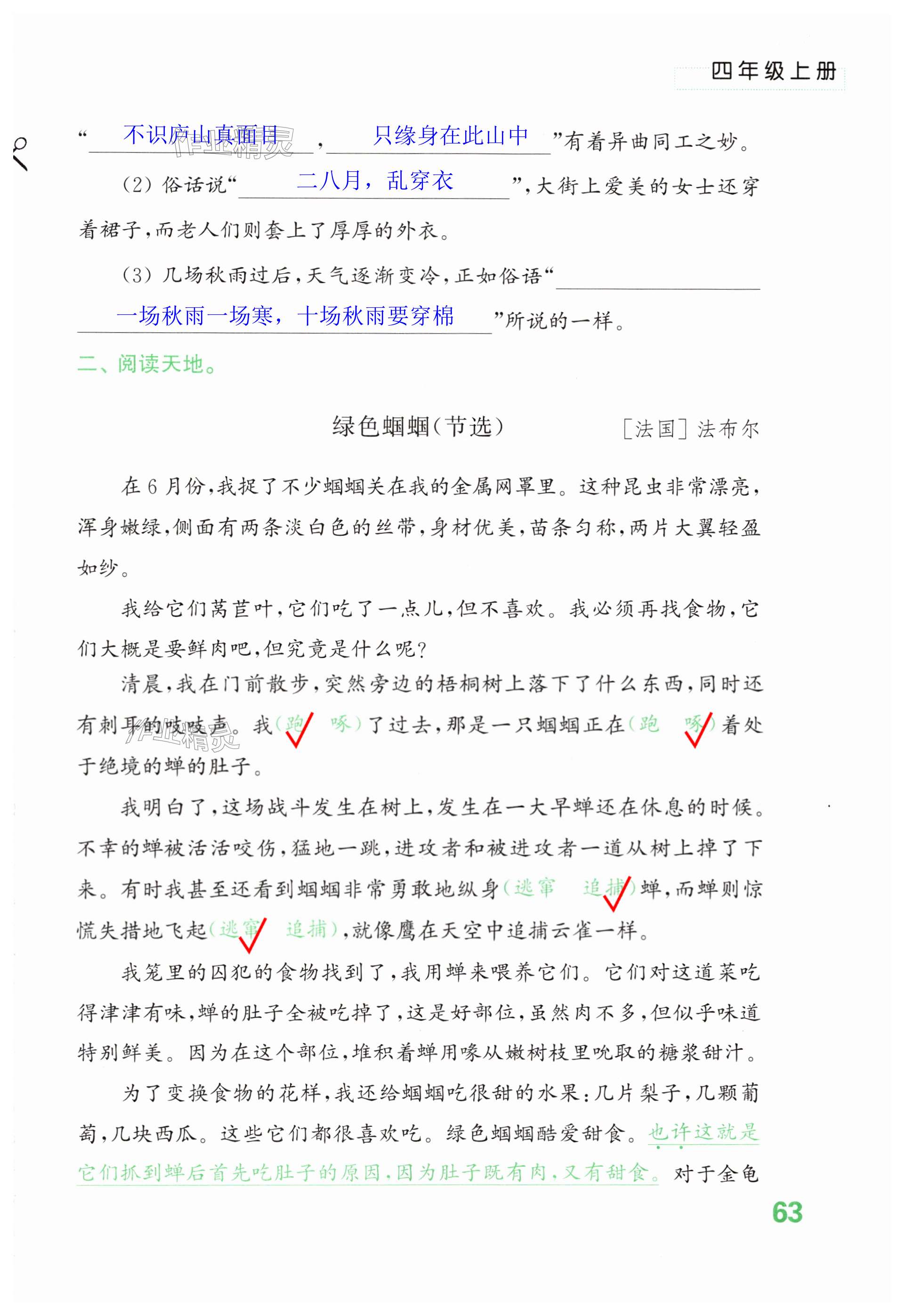 第63页