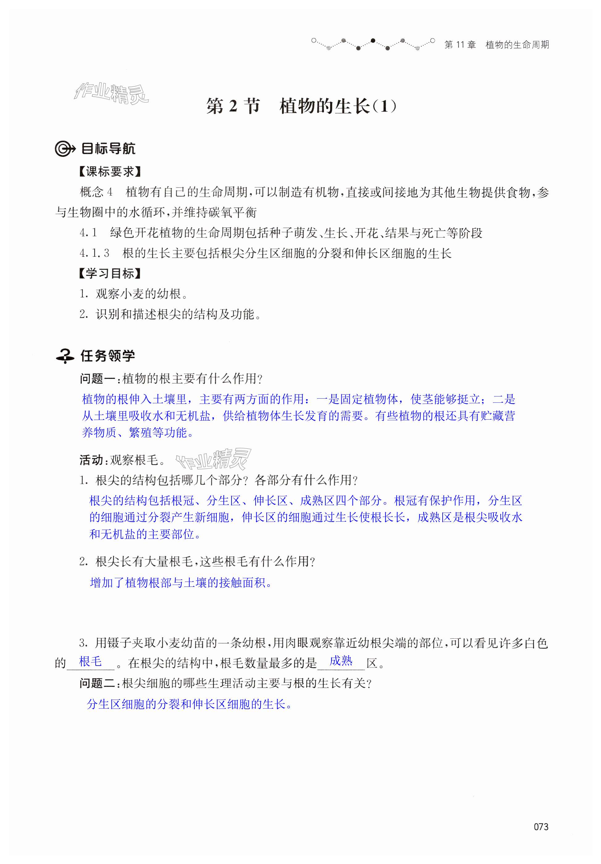 第73页