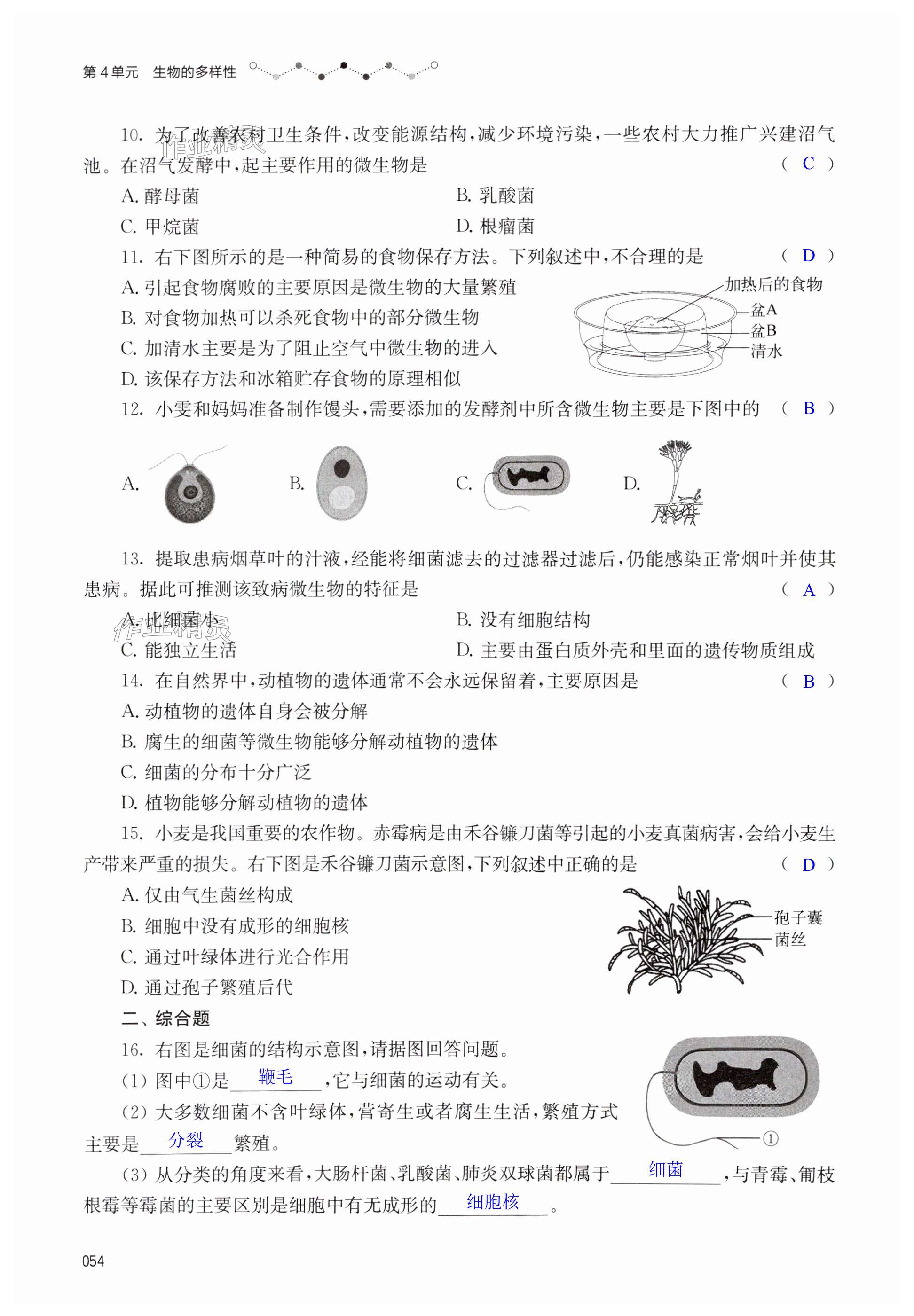 第54页