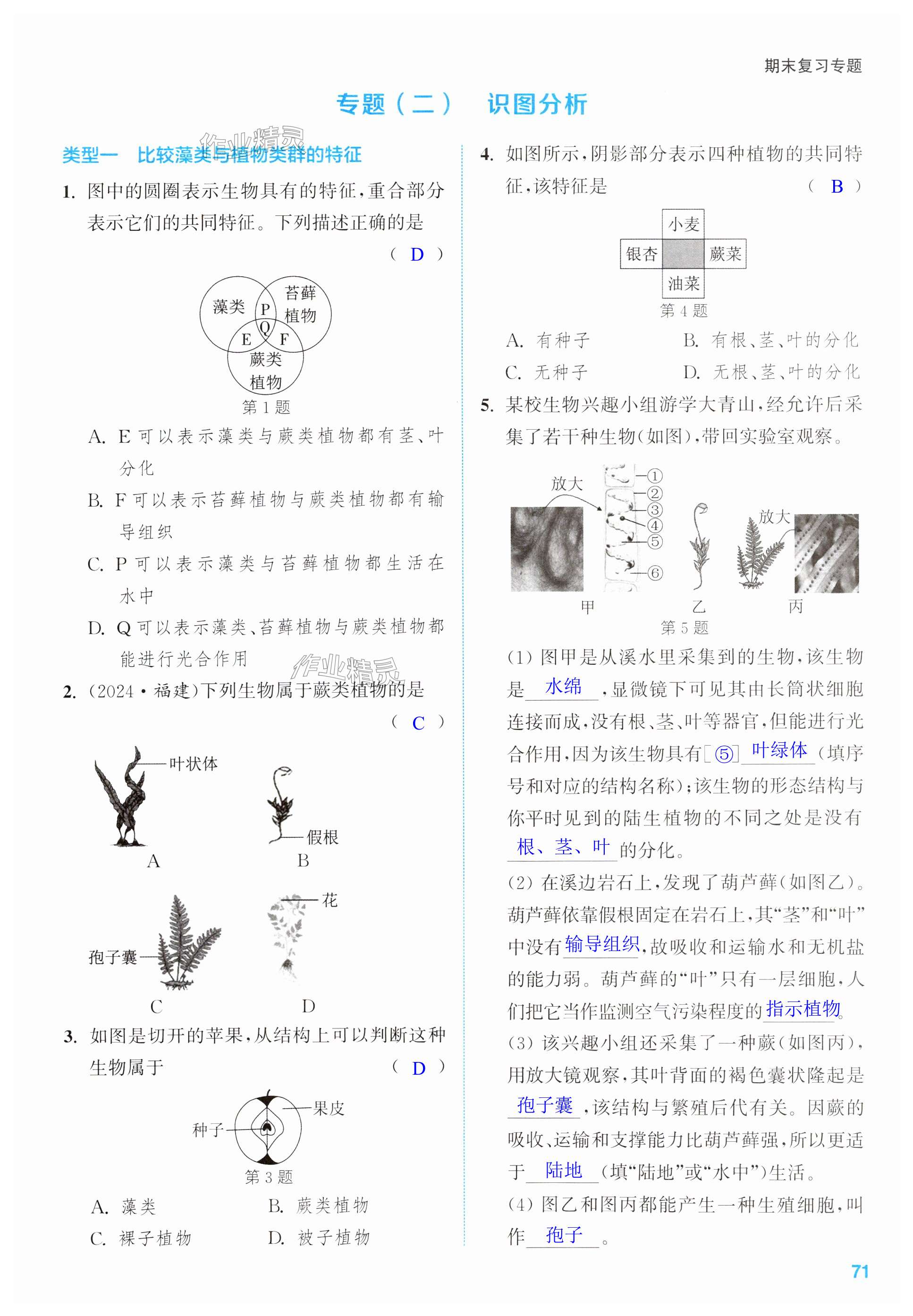 第71页