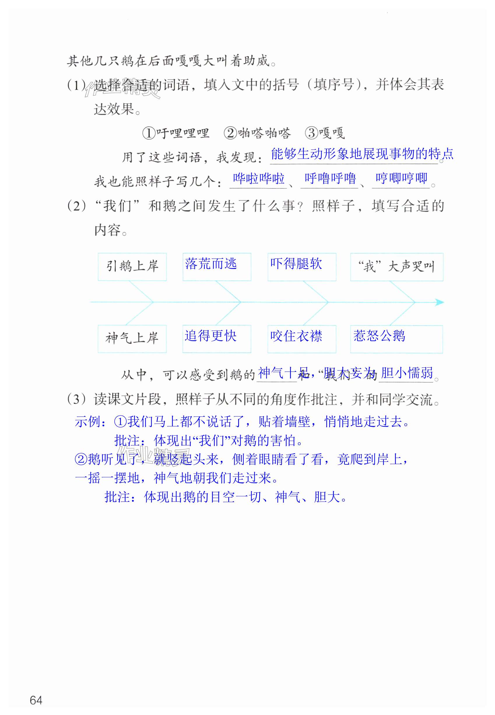 第64页