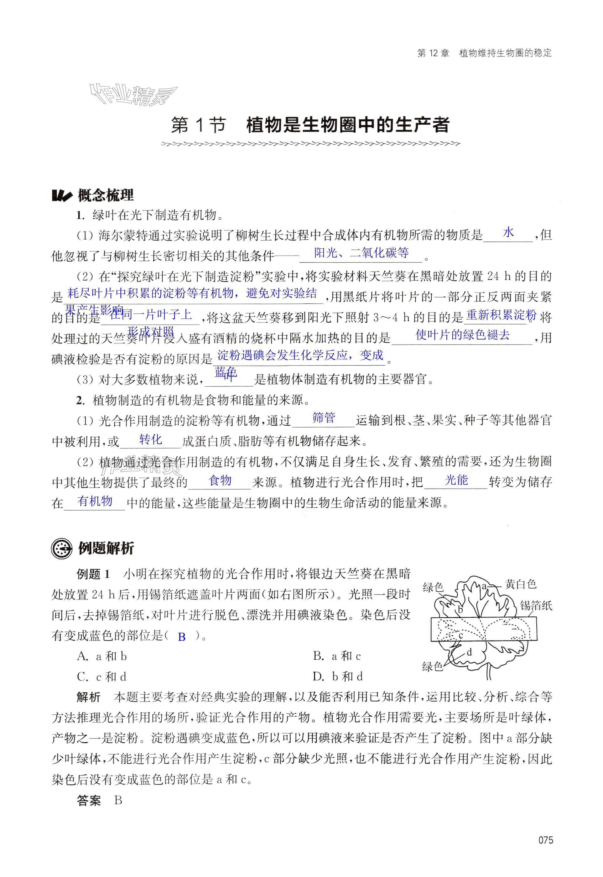 第75页