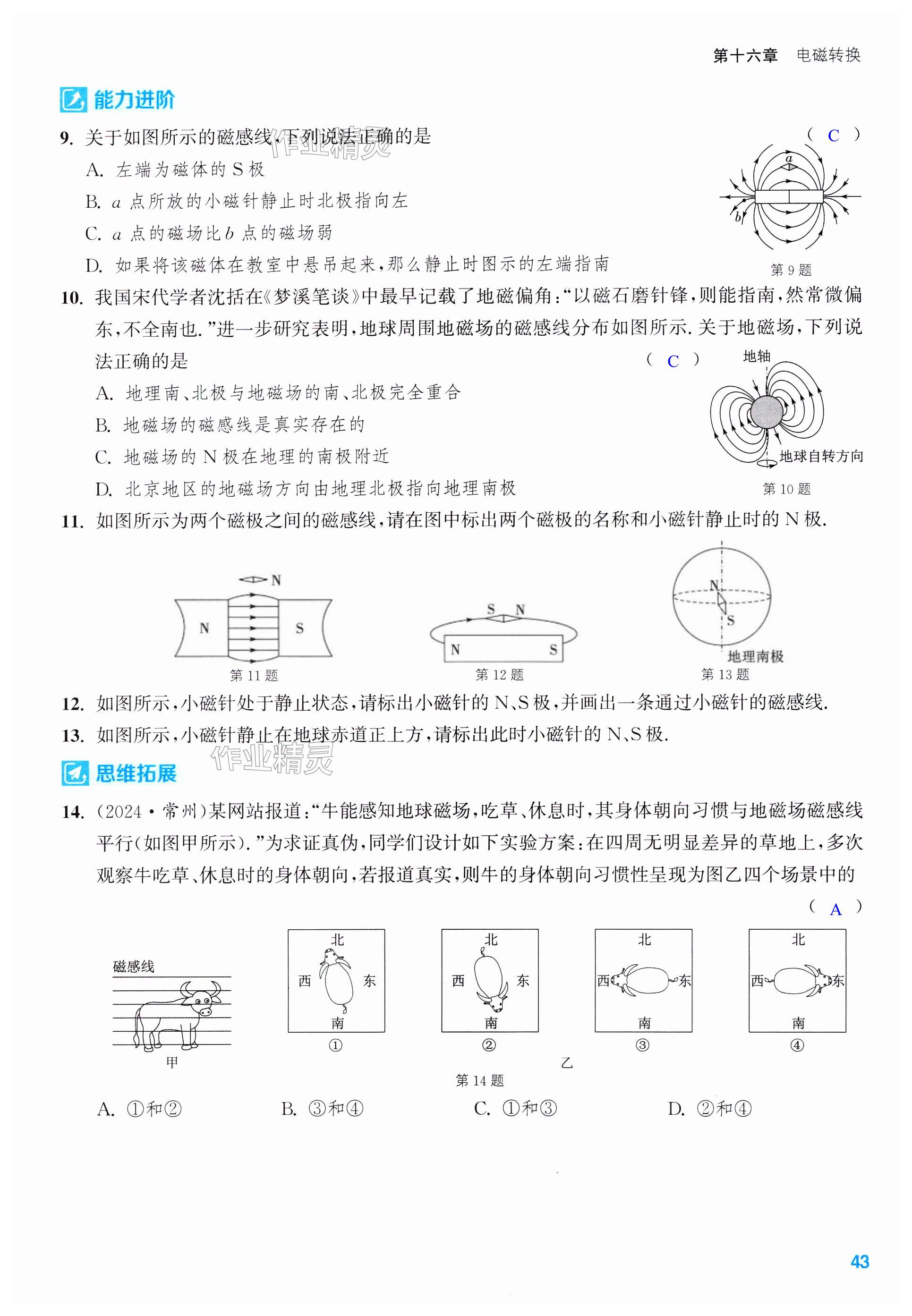 第43页