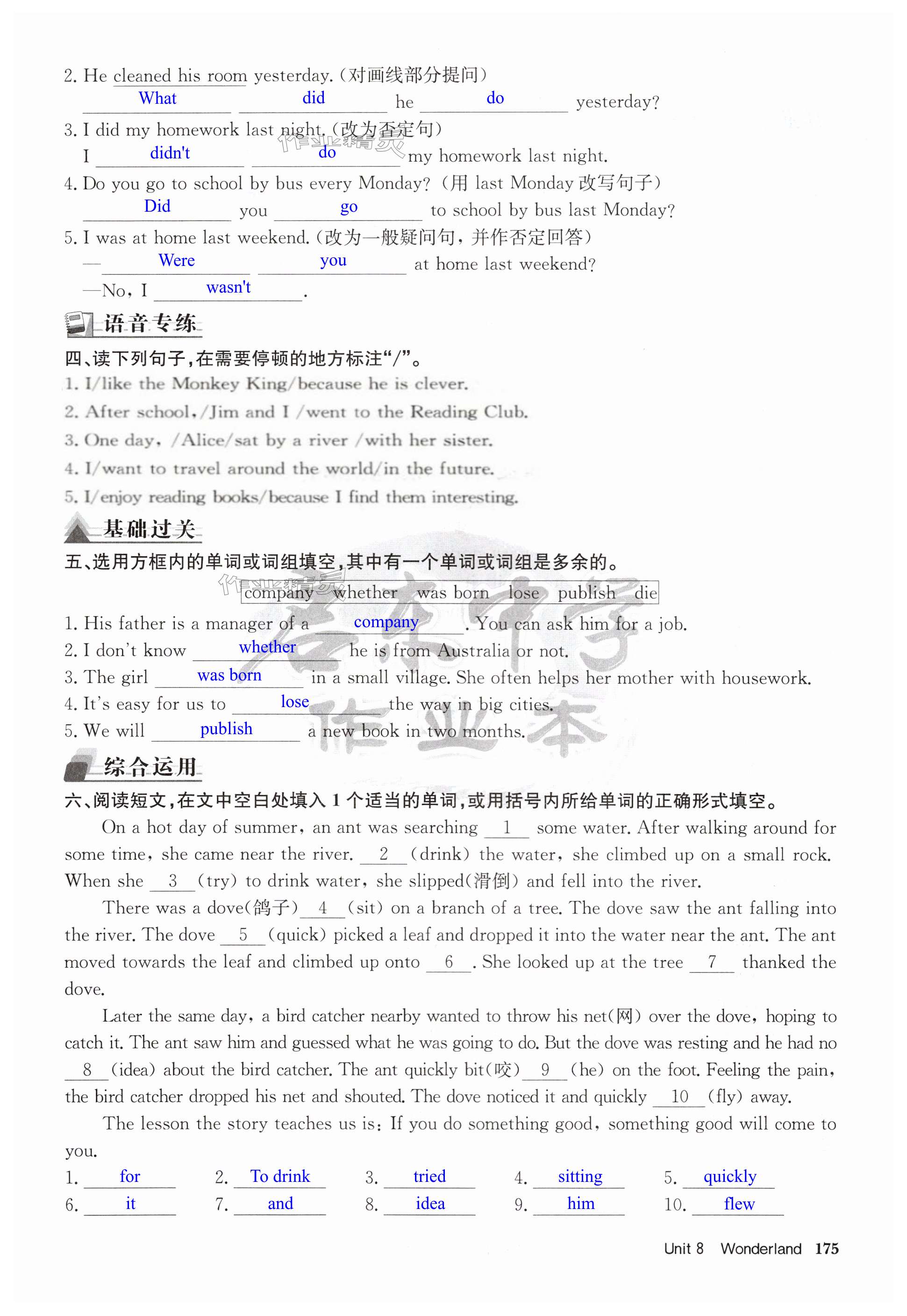 第175页