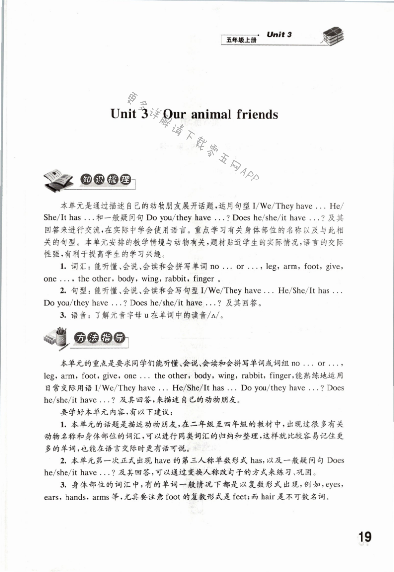 Unit 3 Our animal friends - 第19页