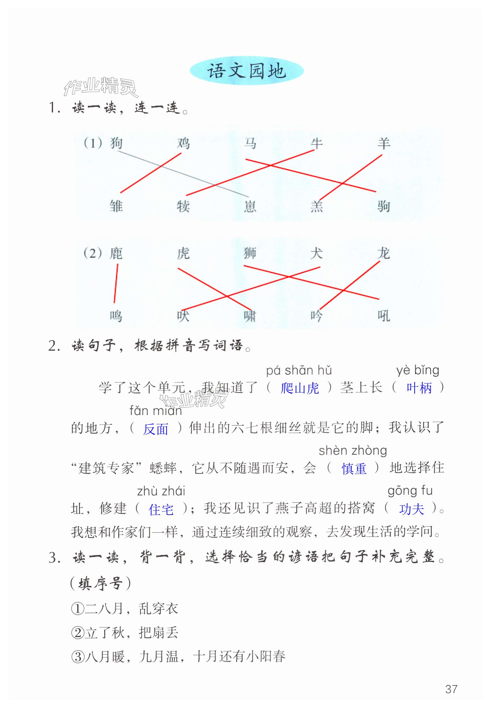 第37页