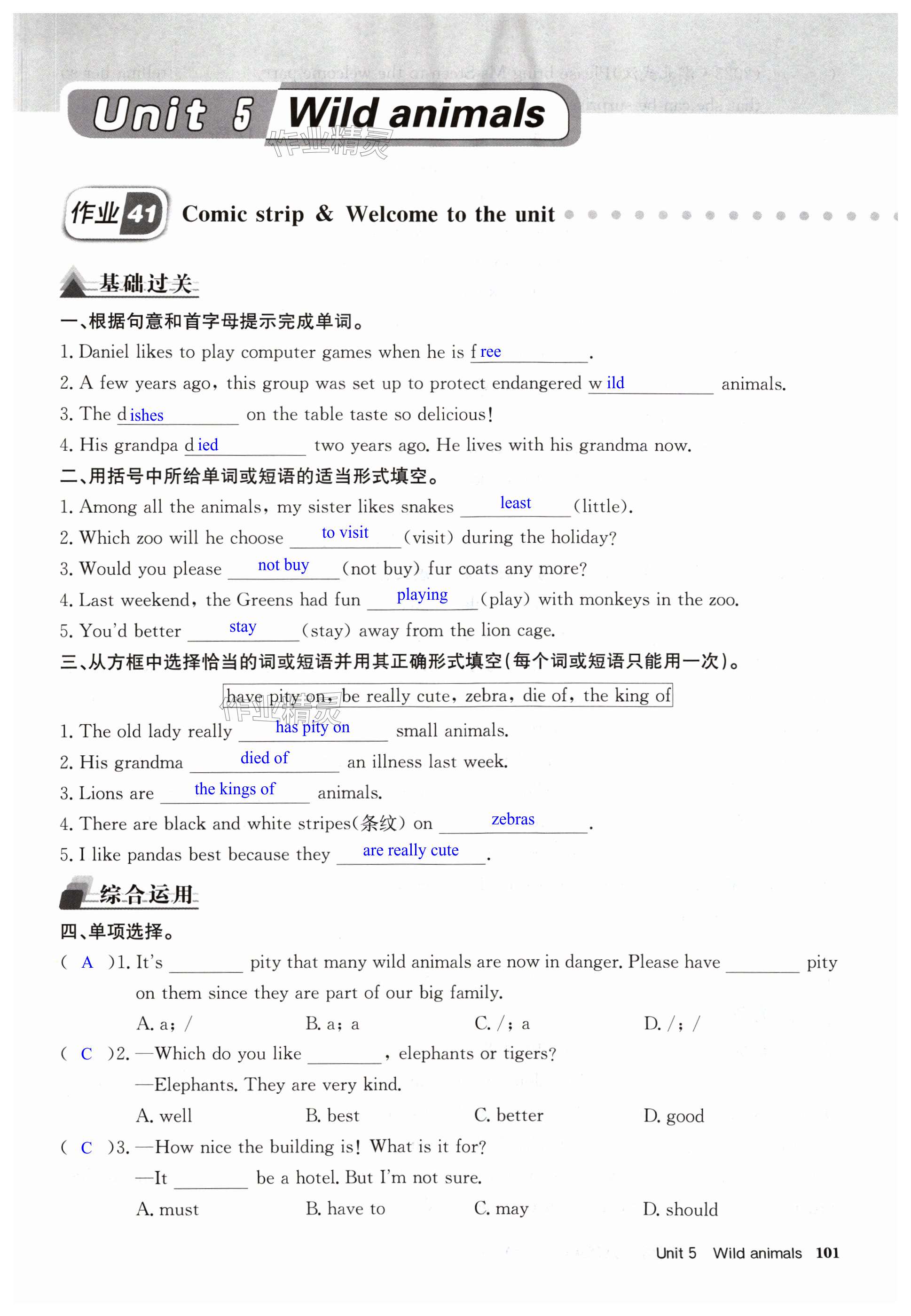 第101页